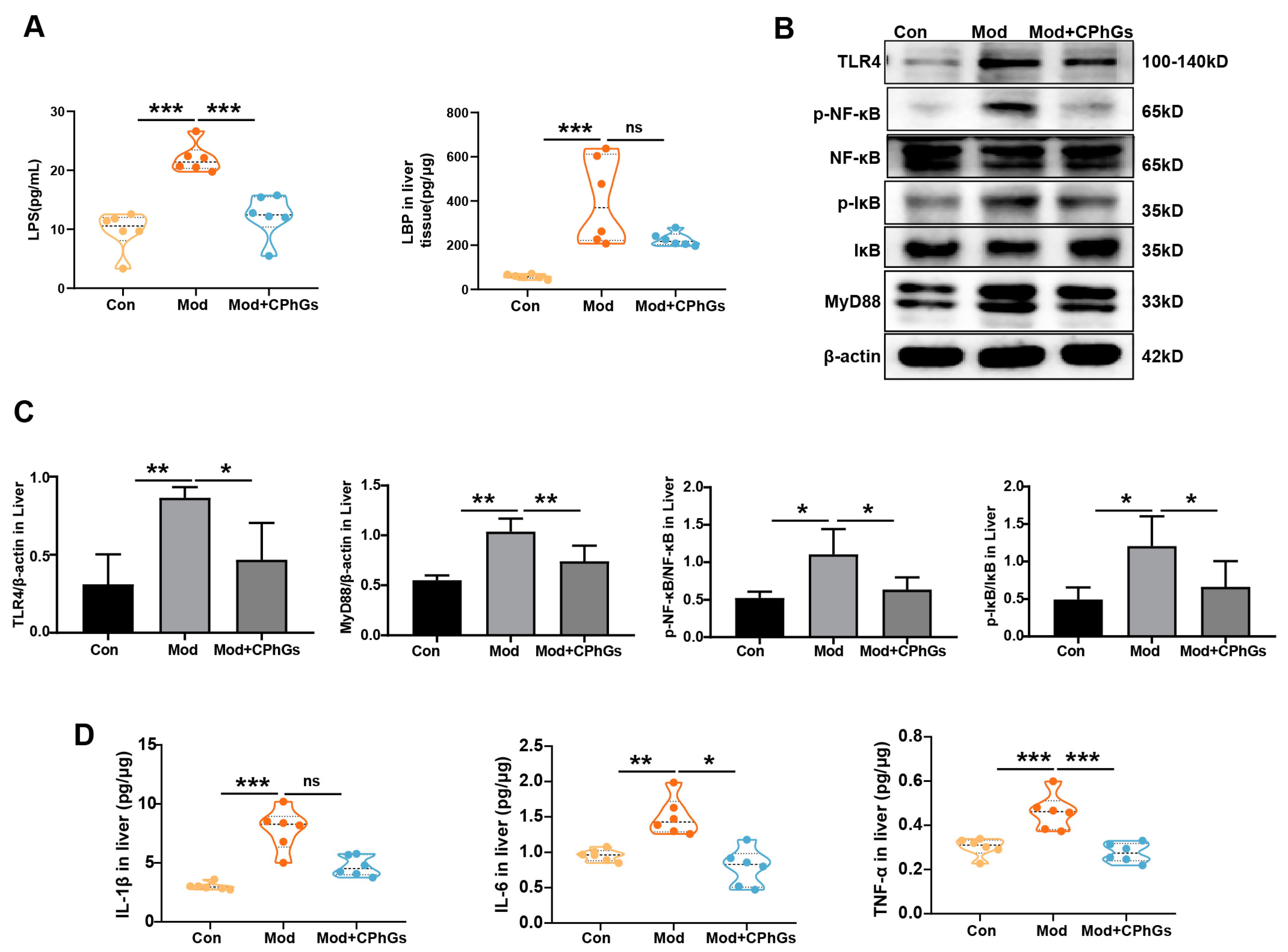 Pharmaceuticals 17 01149 g002