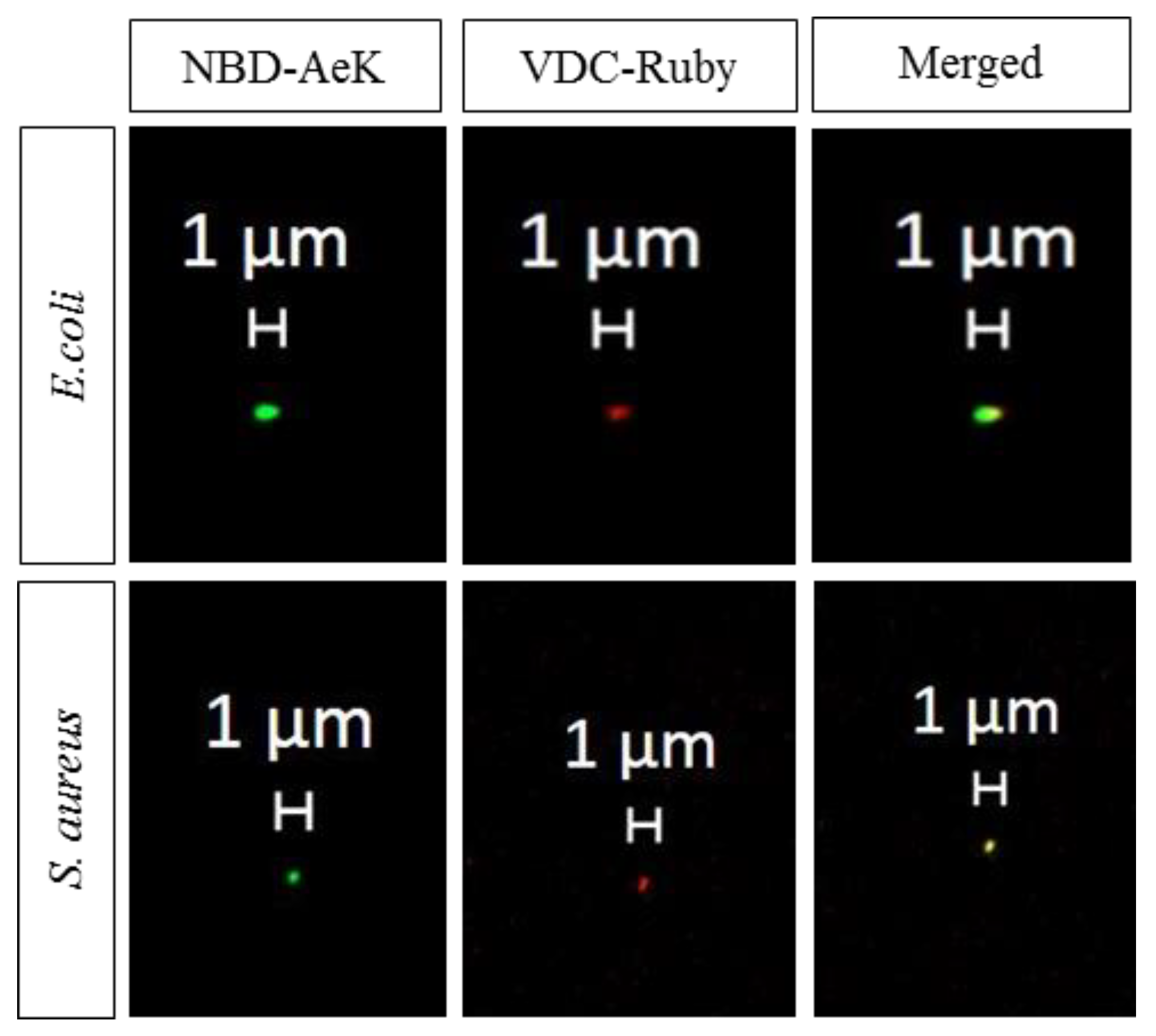 Pharmaceuticals 17 01150 g0a4