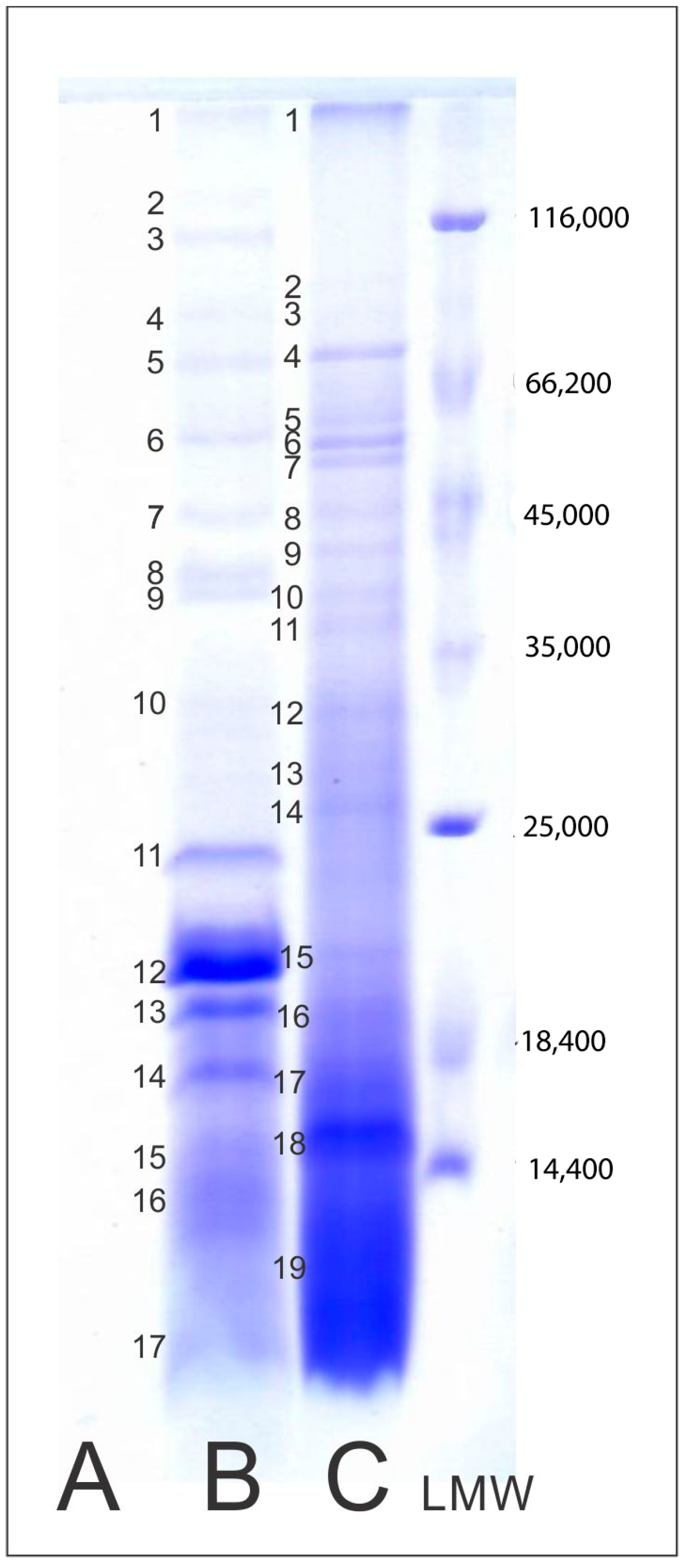 Pharmaceuticals 17 01153 g001