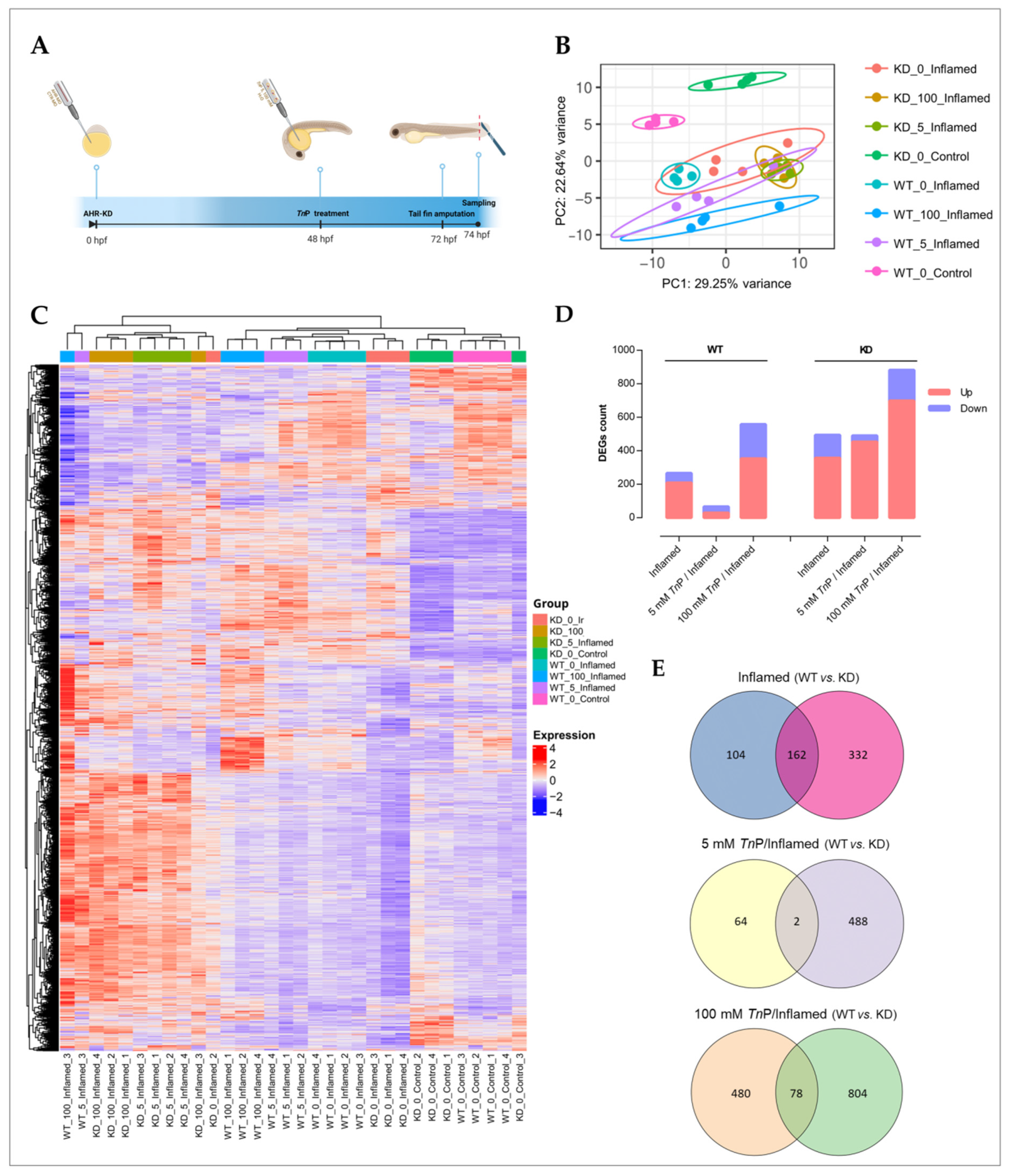 Pharmaceuticals 17 01155 g004