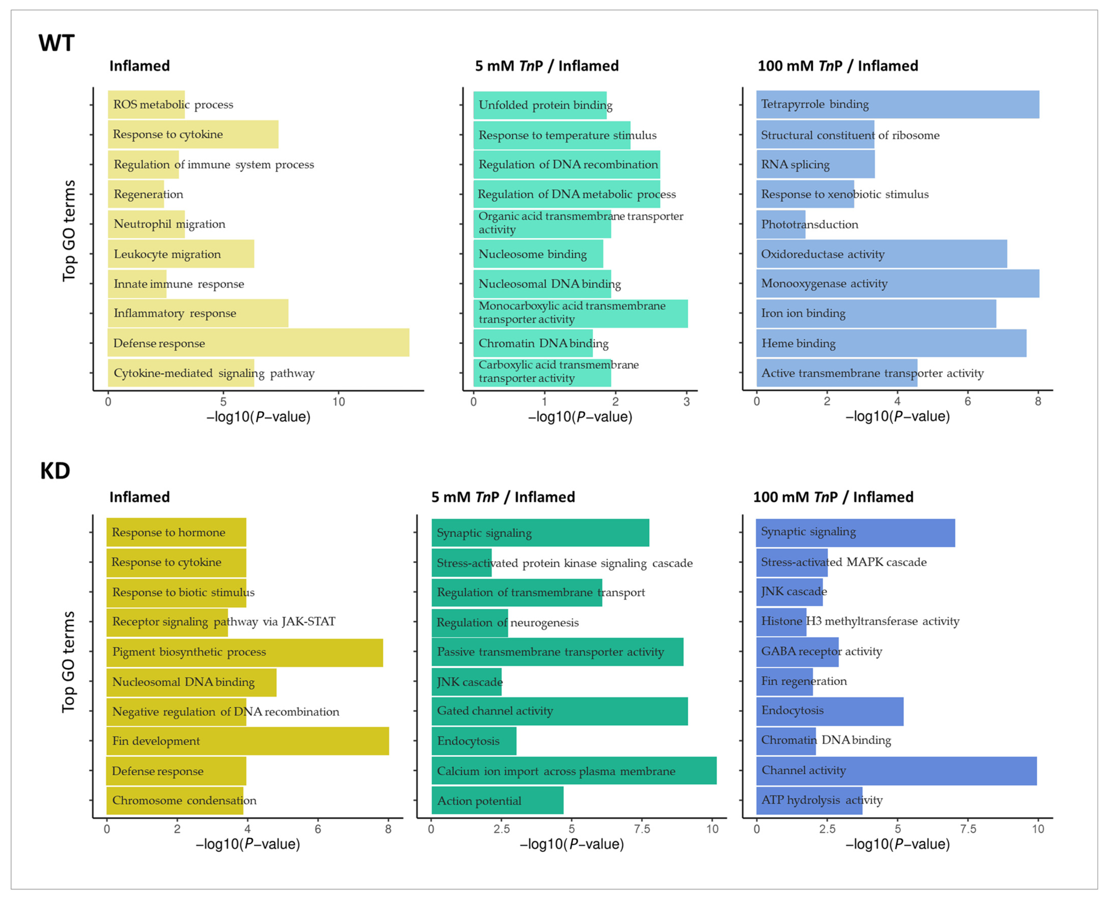 Pharmaceuticals 17 01155 g005