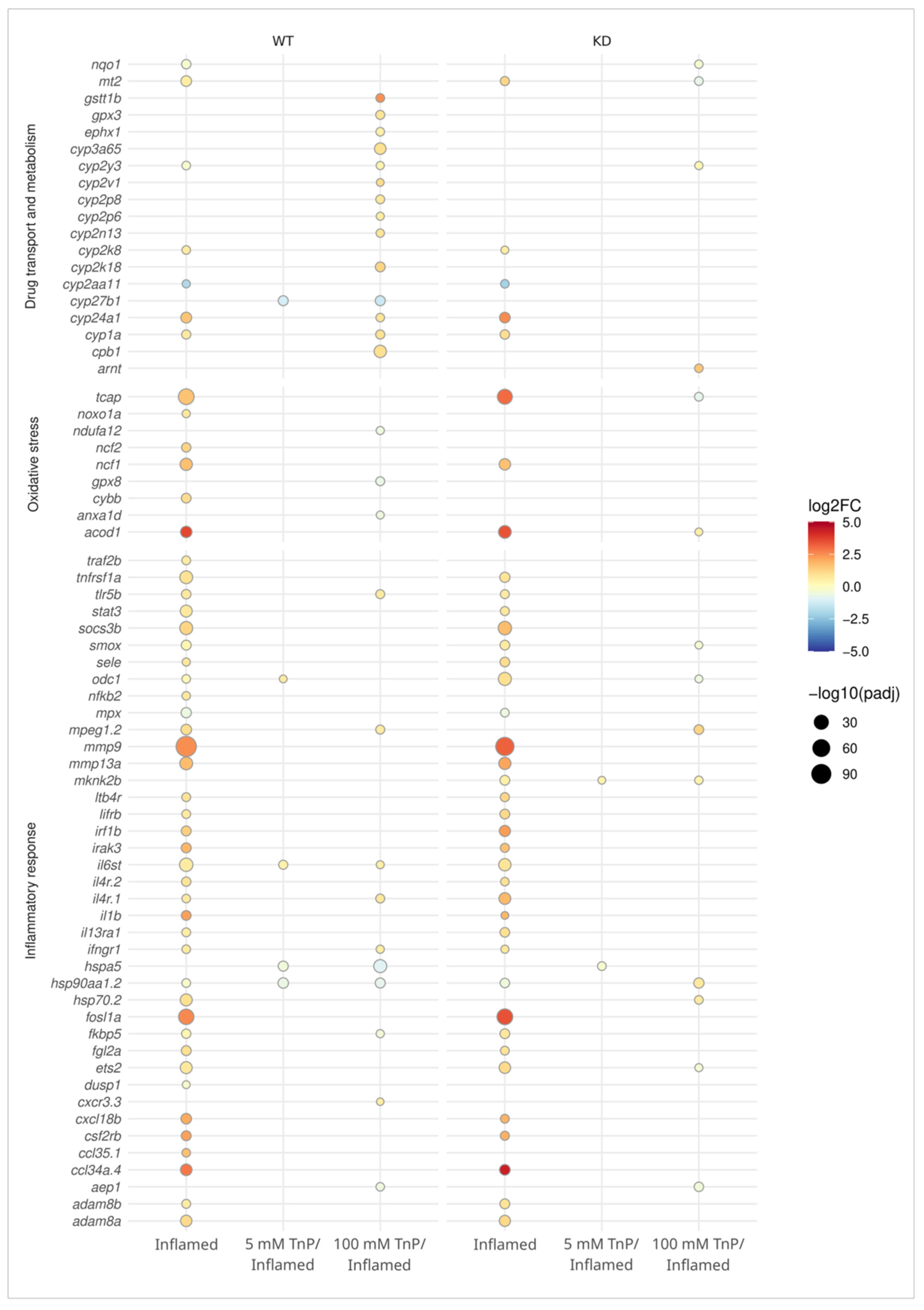 Pharmaceuticals 17 01155 g007