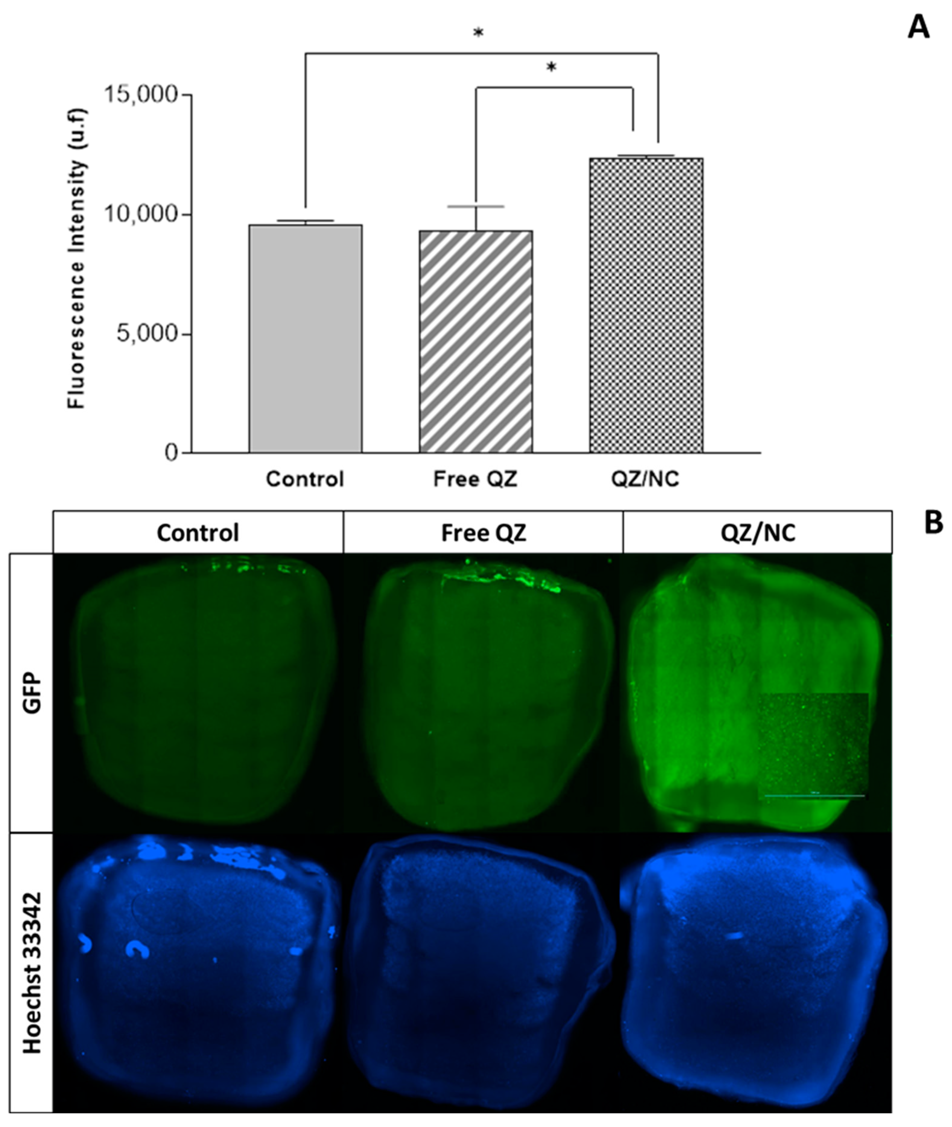 Pharmaceuticals 17 01169 g004