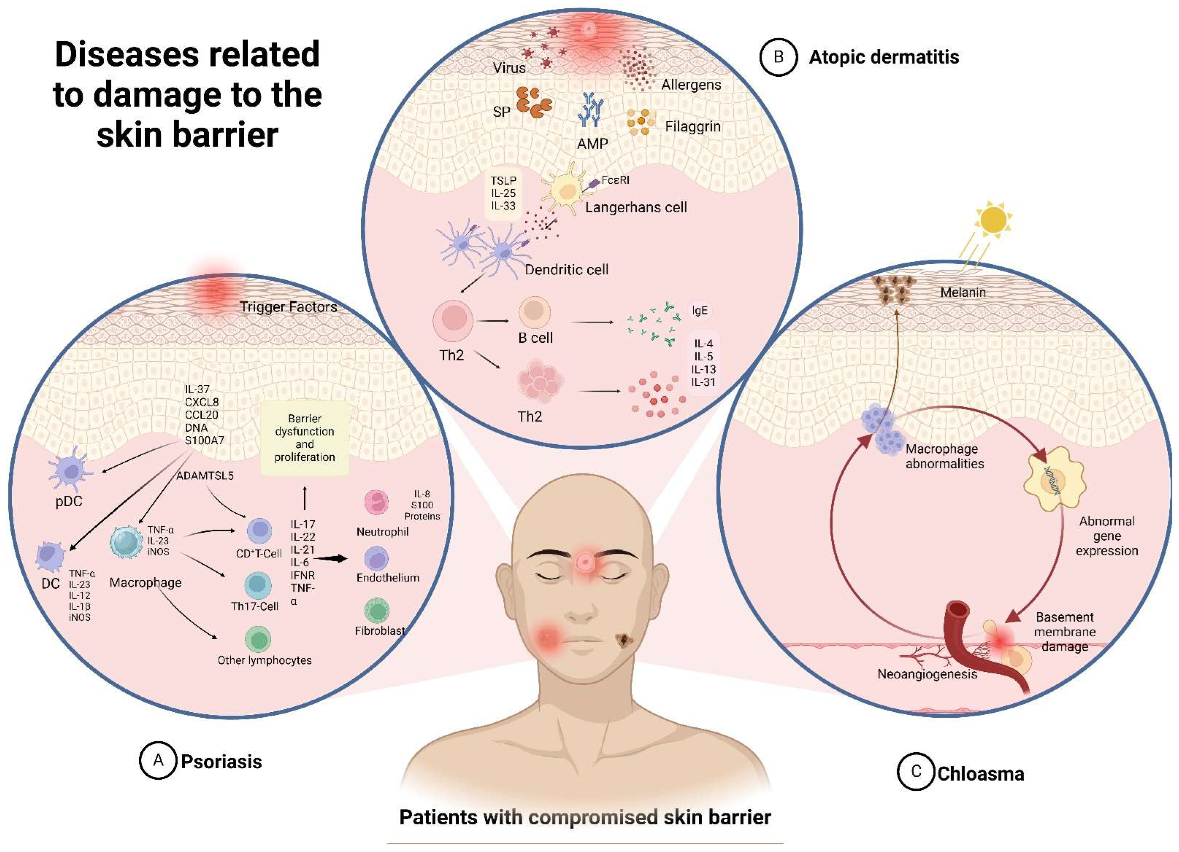 Pharmaceuticals 17 01176 g002