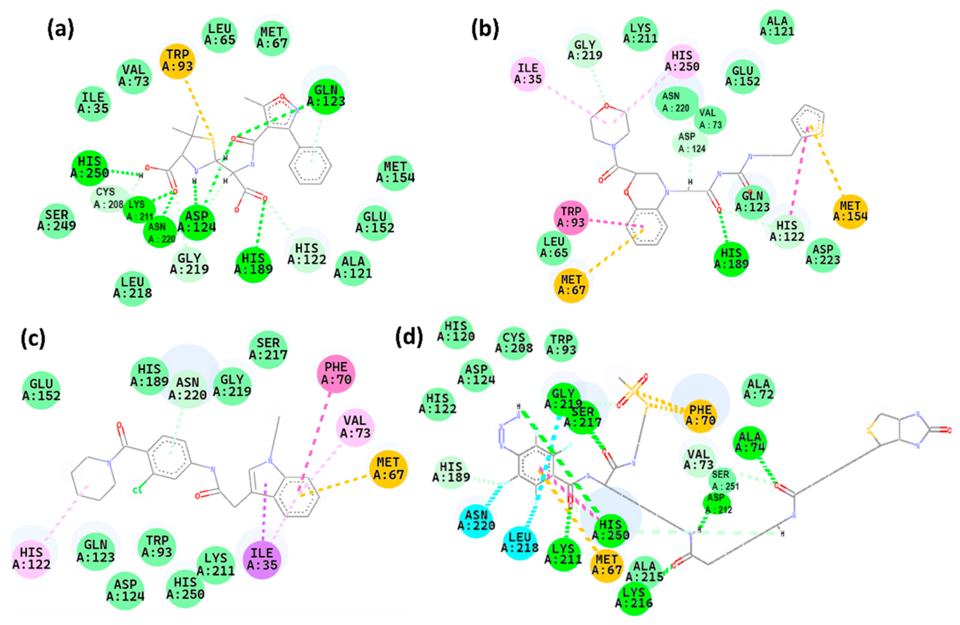 Pharmaceuticals 17 01183 g008
