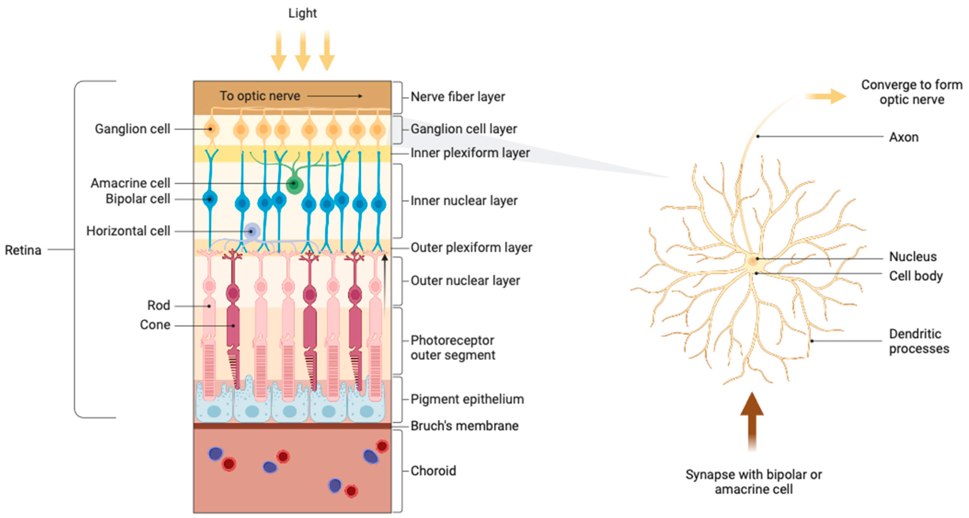 Pharmaceuticals 17 01190 g001
