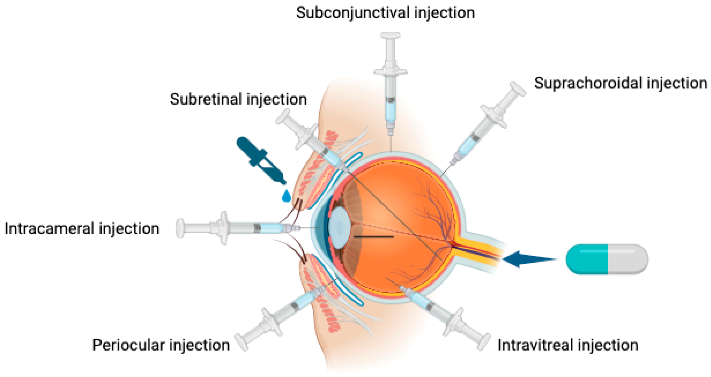 Pharmaceuticals 17 01190 g002