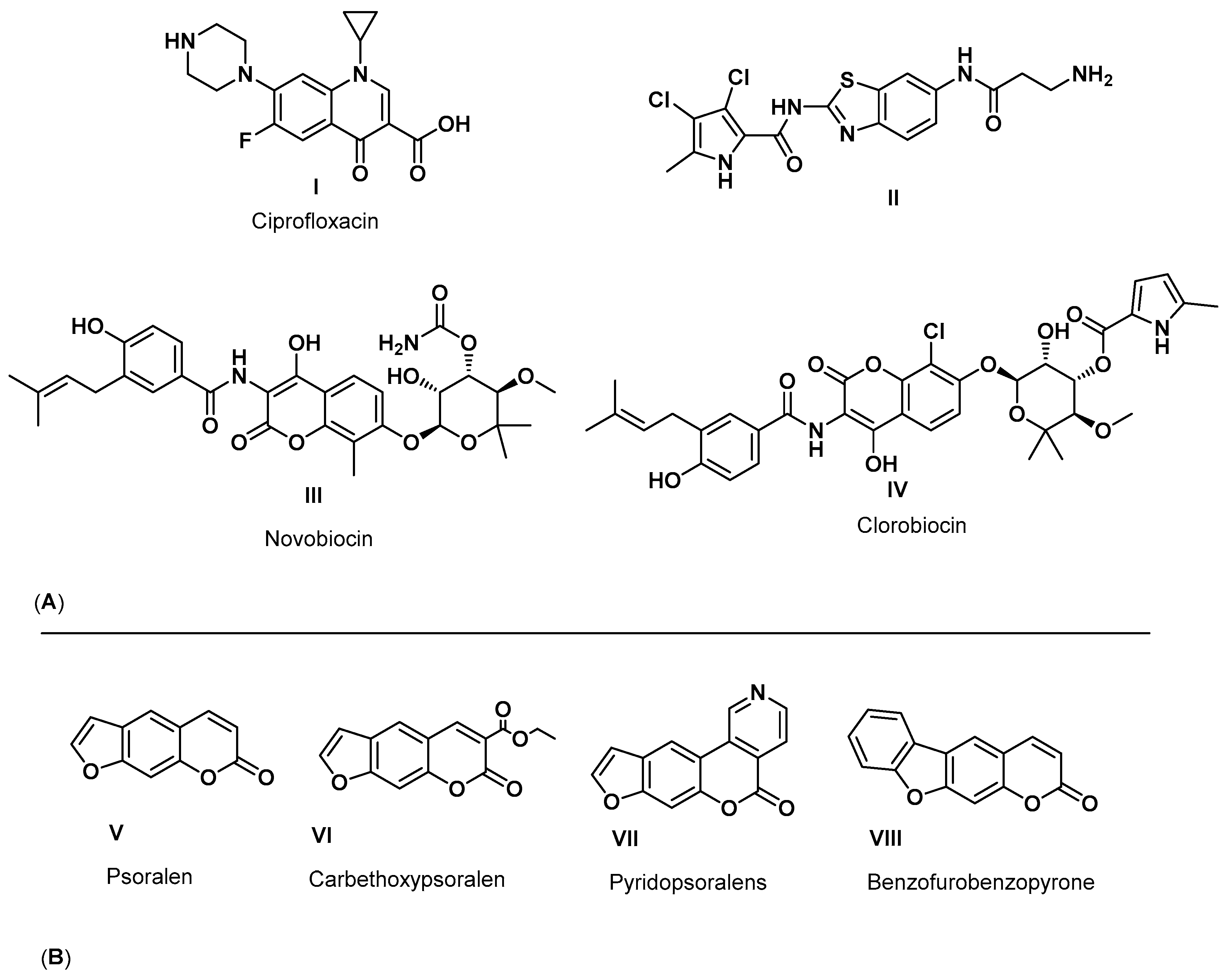 Pharmaceuticals 17 01197 g002