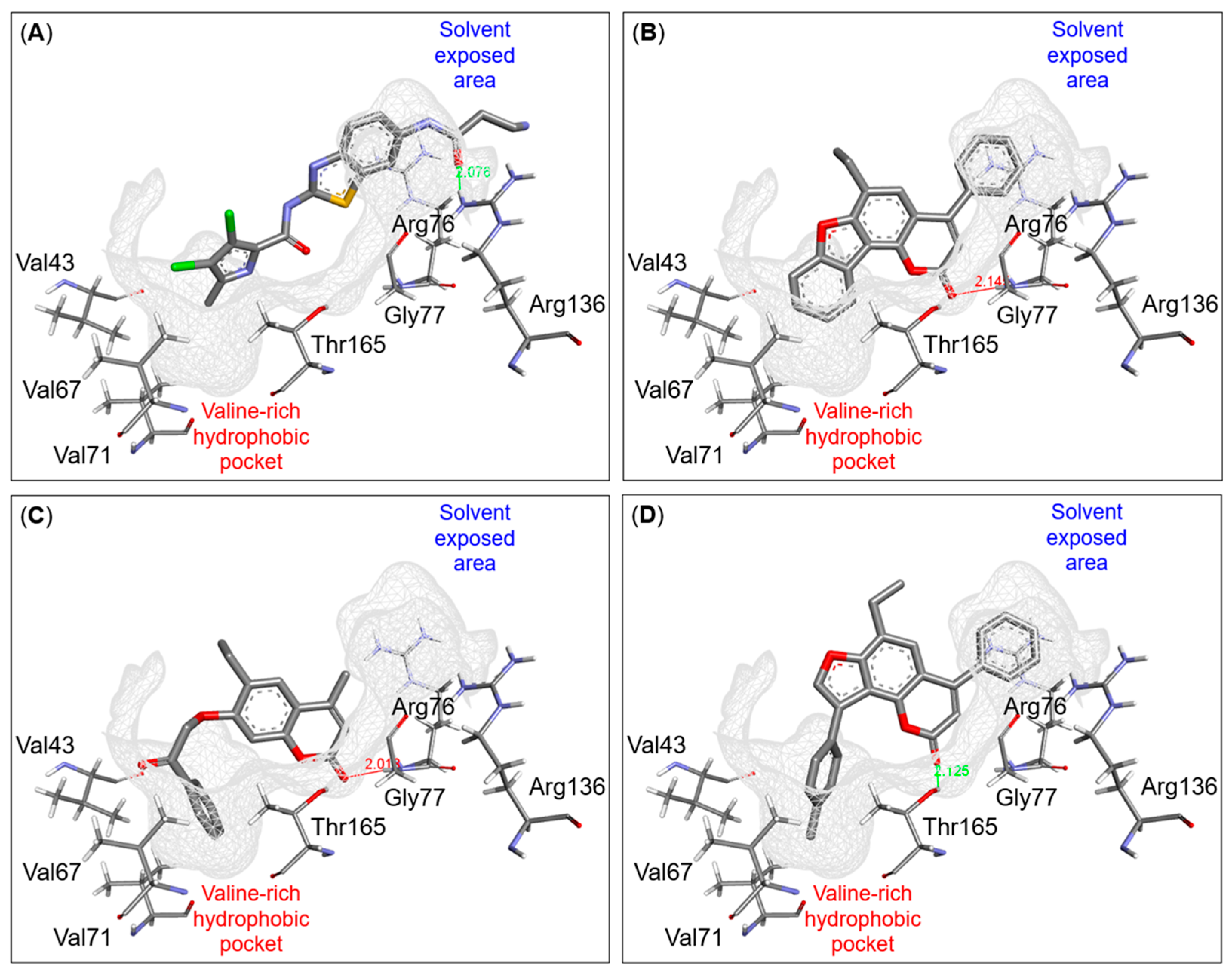 Pharmaceuticals 17 01197 g005
