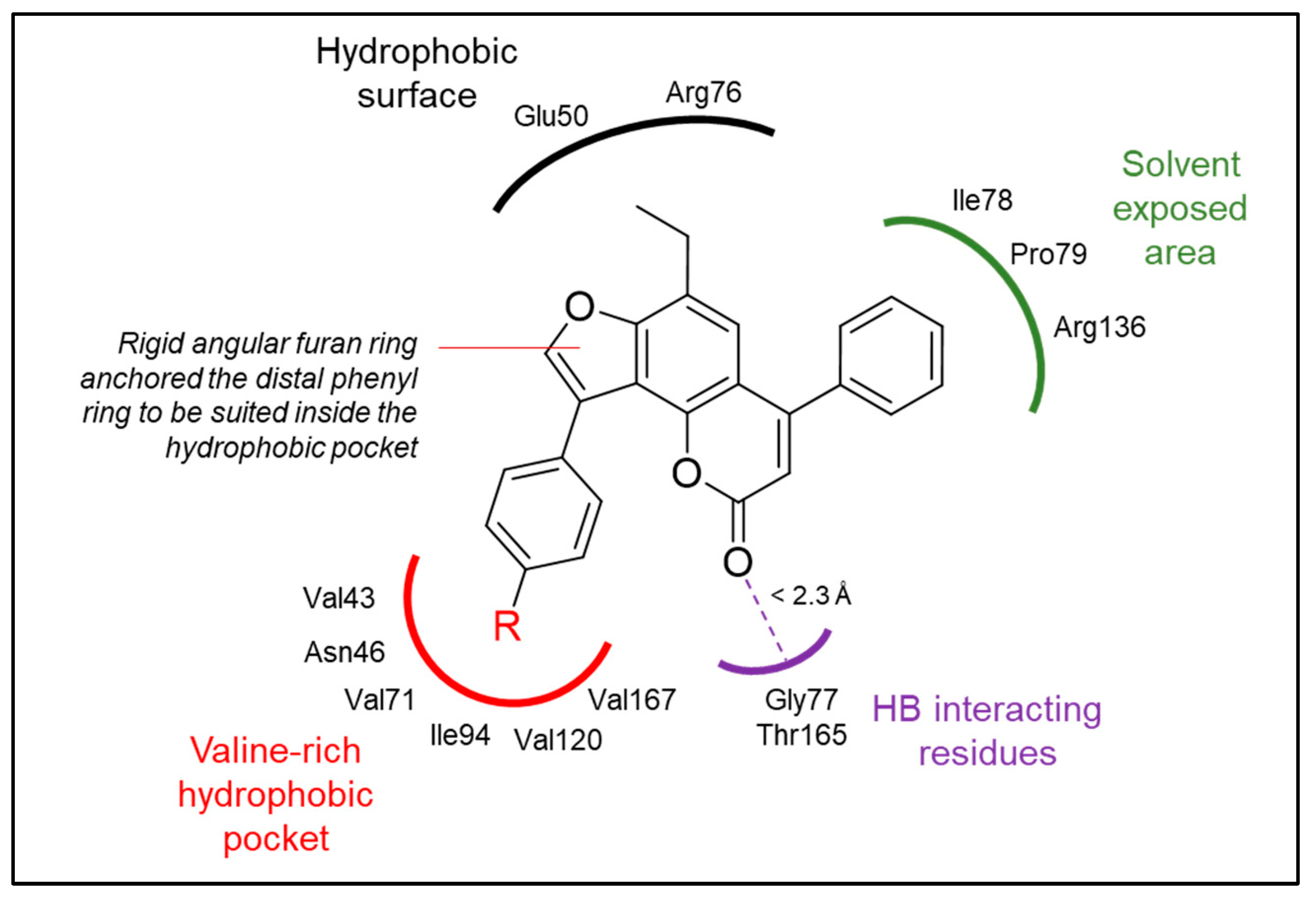 Pharmaceuticals 17 01197 g006