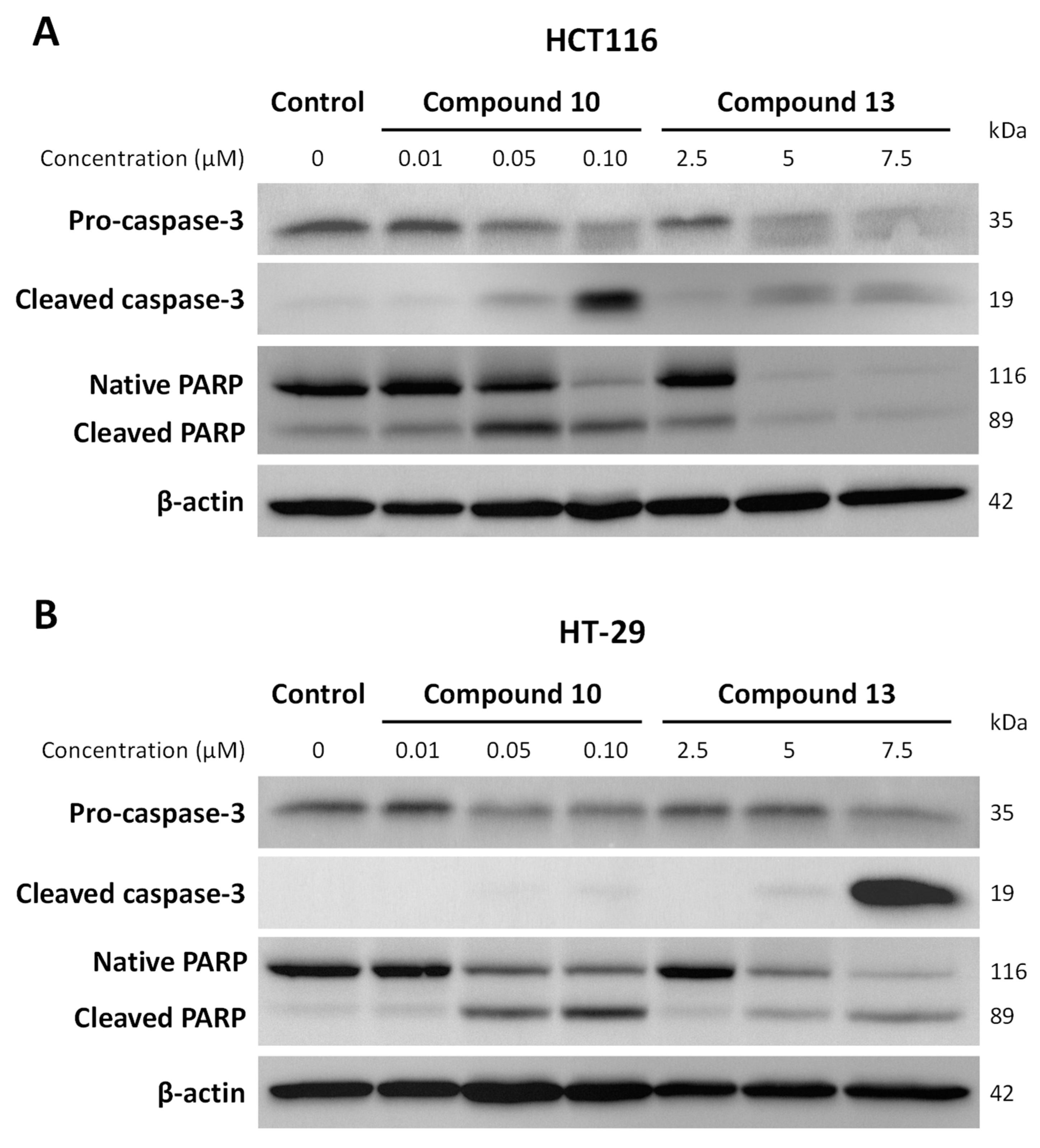Pharmaceuticals 17 01207 g010