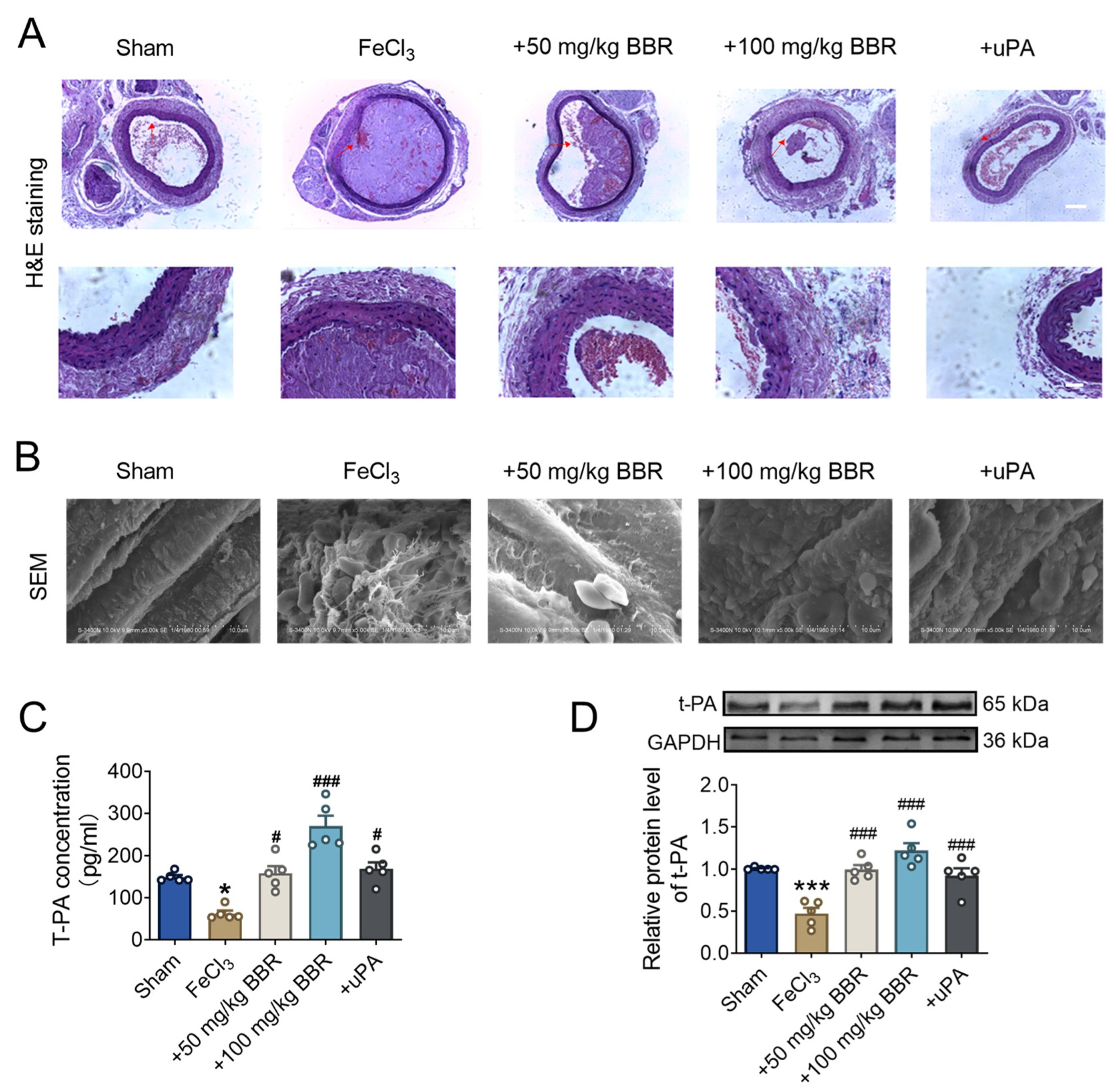 Pharmaceuticals 17 01219 g002