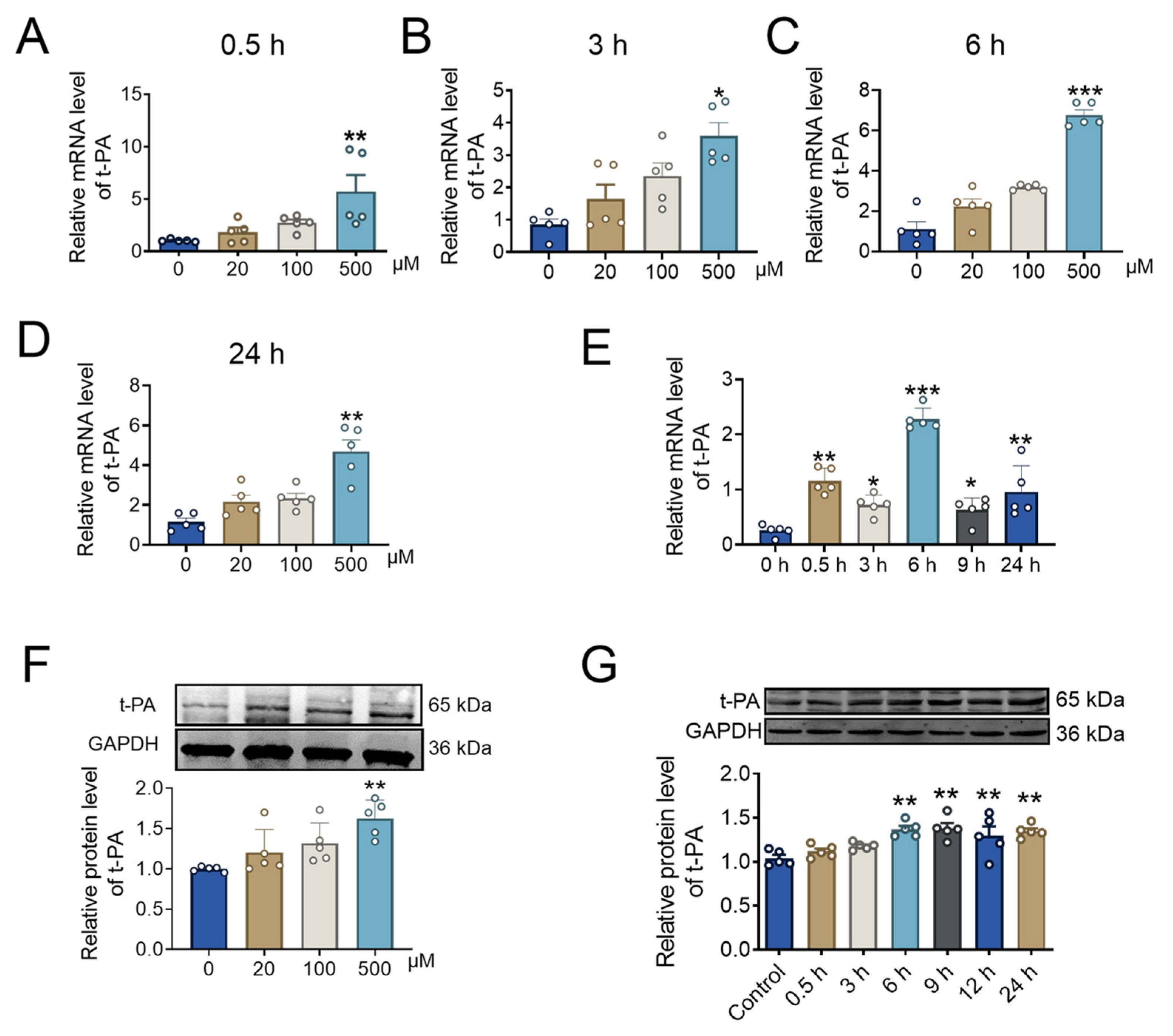 Pharmaceuticals 17 01219 g003