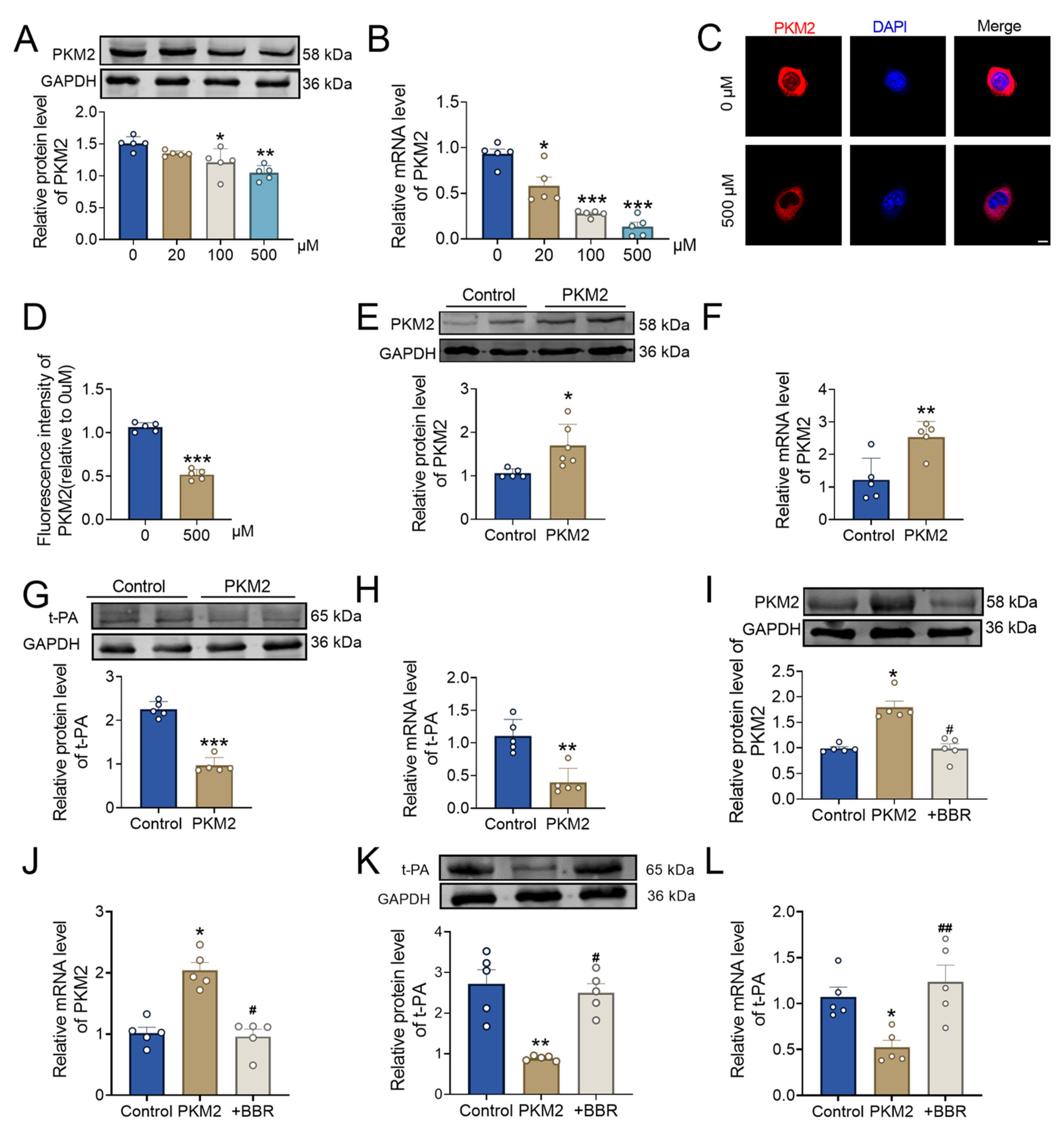 Pharmaceuticals 17 01219 g005