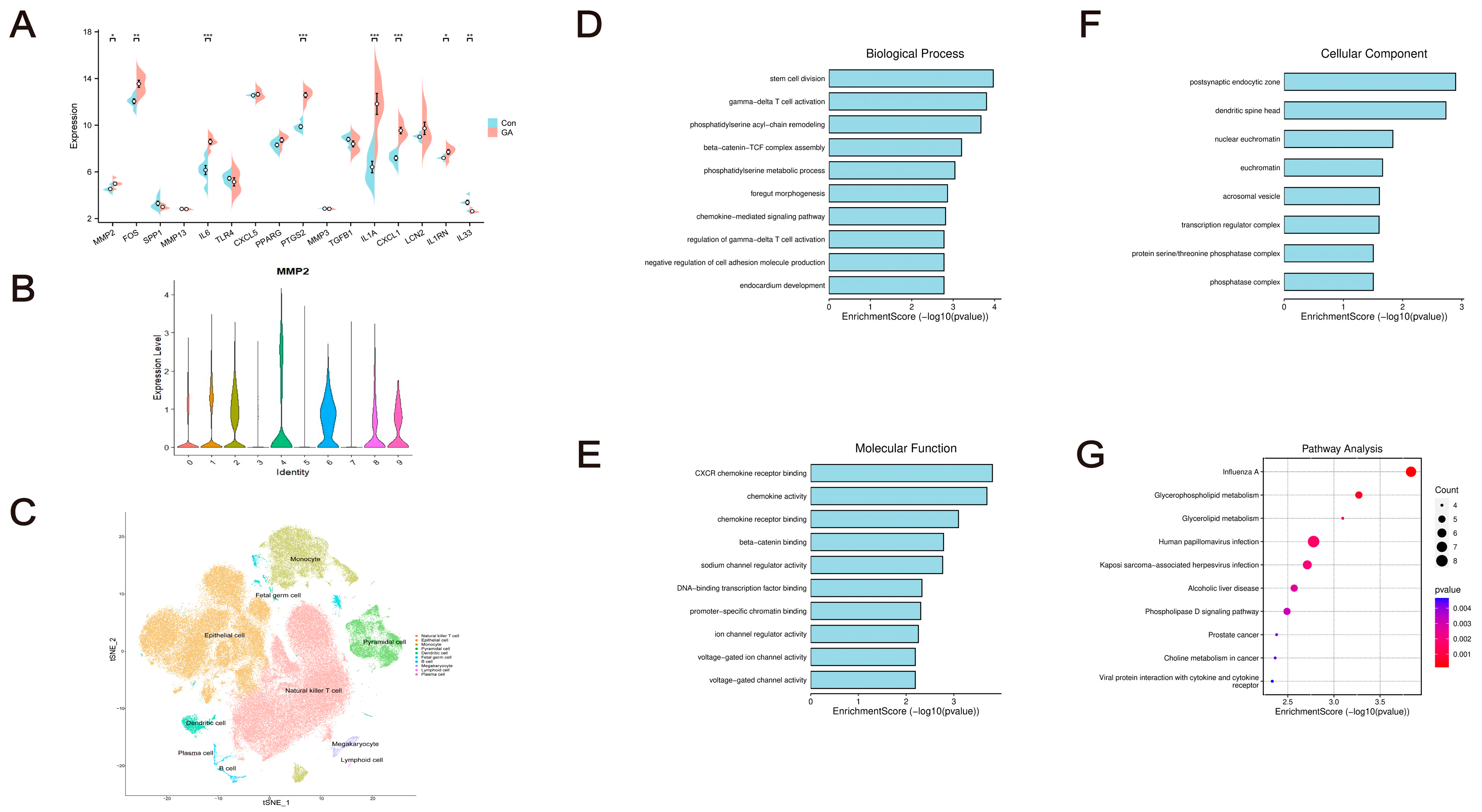 Pharmaceuticals 17 01230 g004