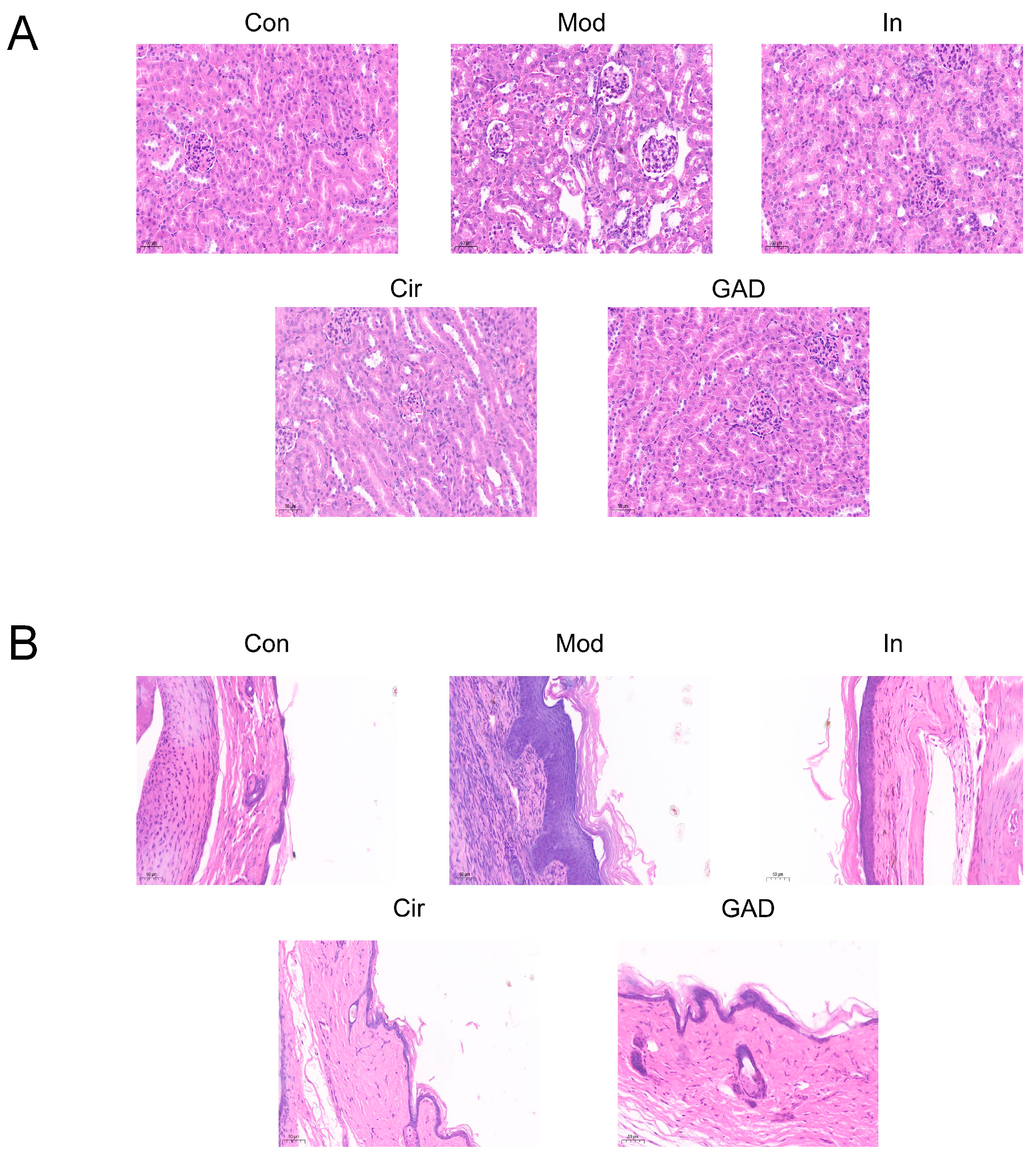 Pharmaceuticals 17 01230 g009