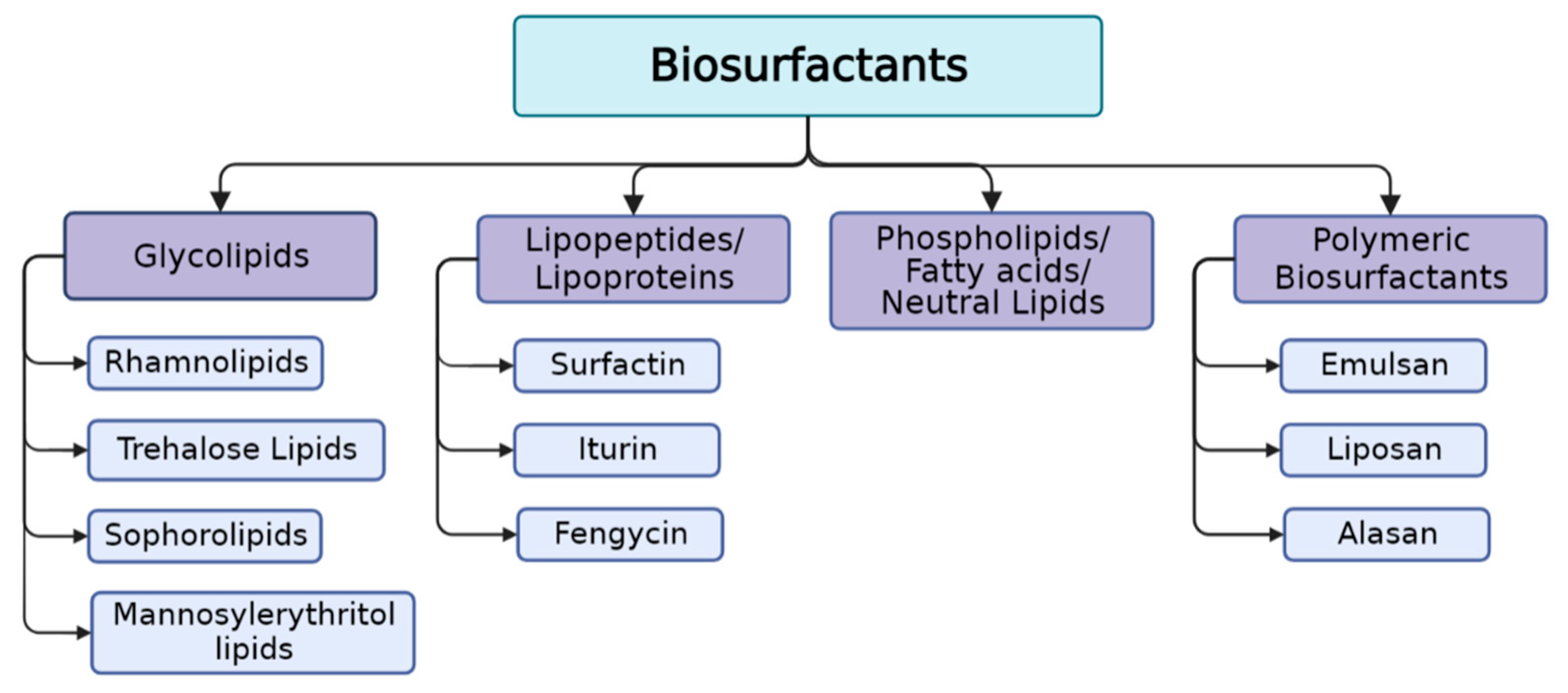 Pharmaceuticals 17 01239 g002 Pharmaceuticals 17 01239 g002