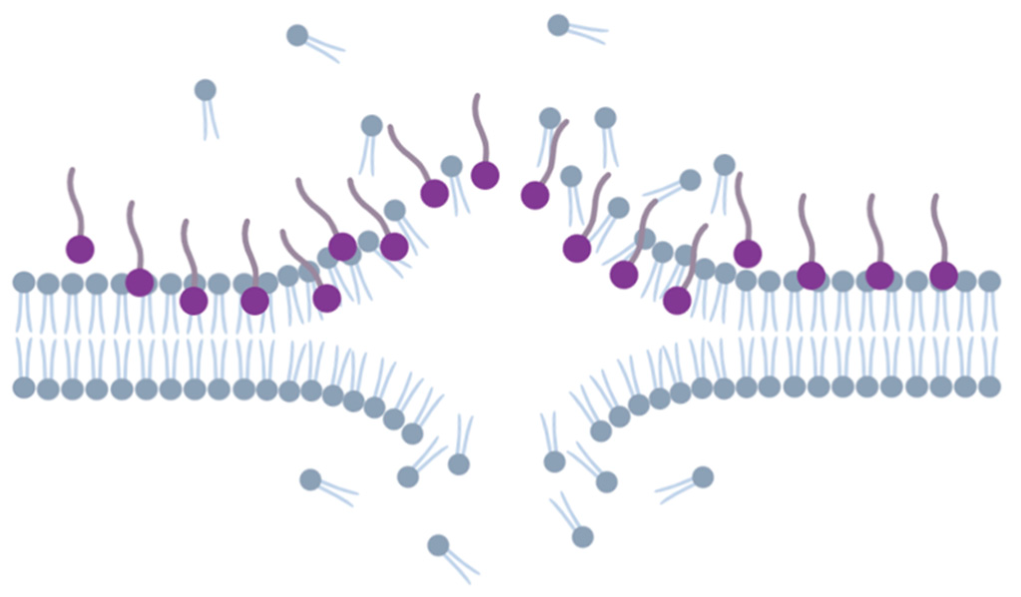 Pharmaceuticals 17 01239 g003 Pharmaceuticals 17 01239 g003