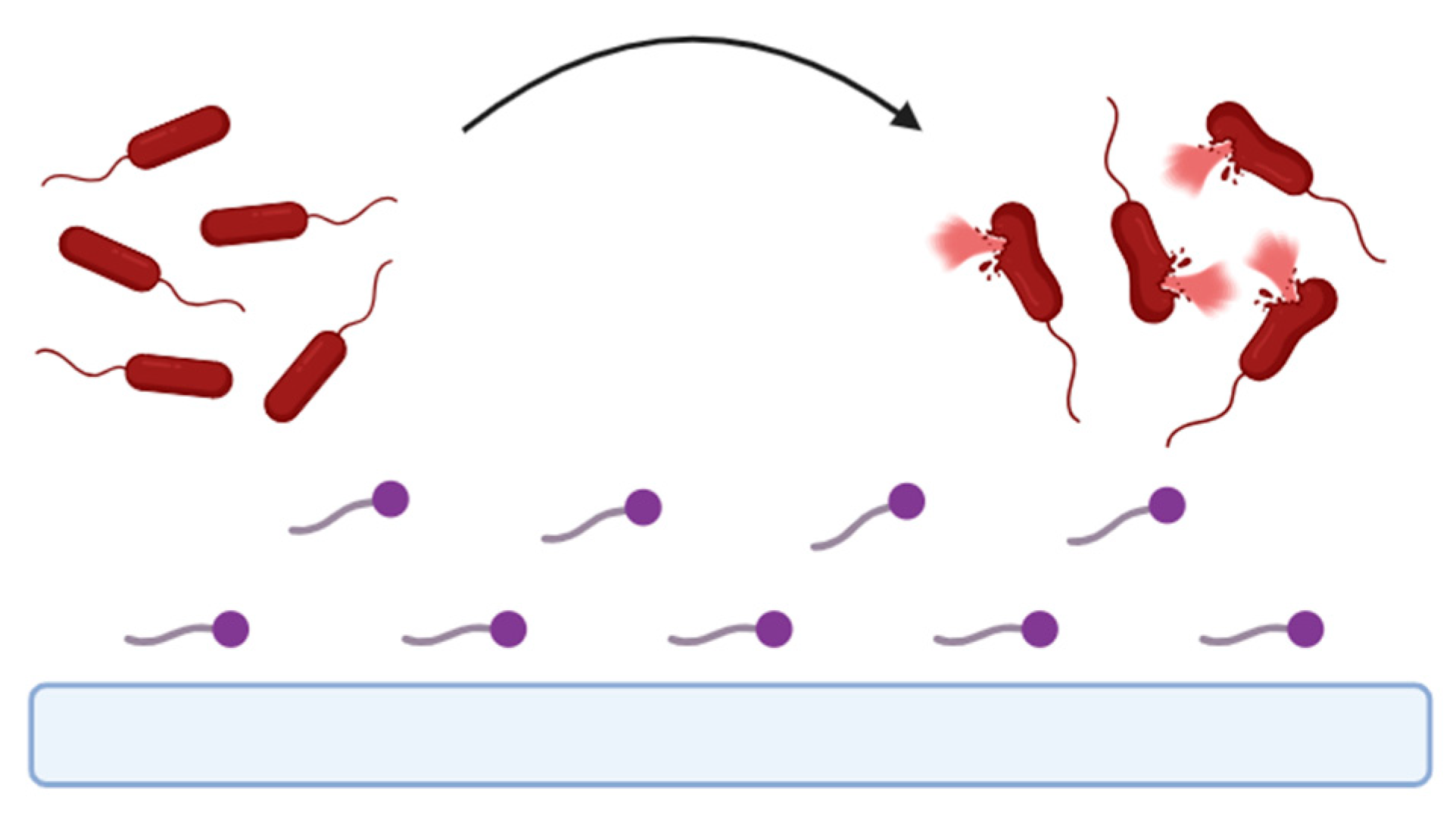 Pharmaceuticals 17 01239 g004 Pharmaceuticals 17 01239 g004