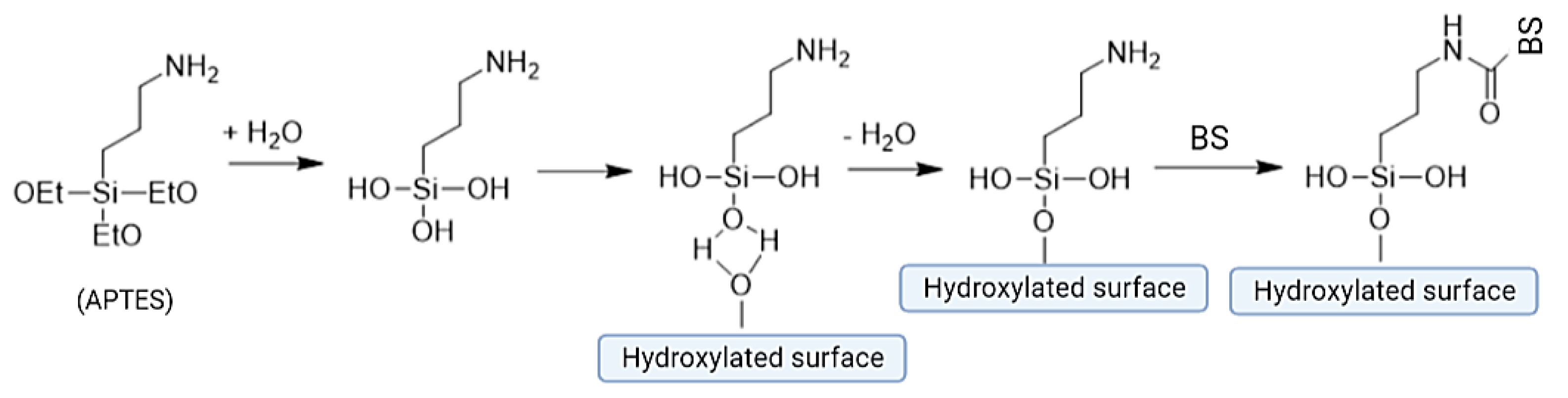 Pharmaceuticals 17 01239 g005 Pharmaceuticals 17 01239 g005