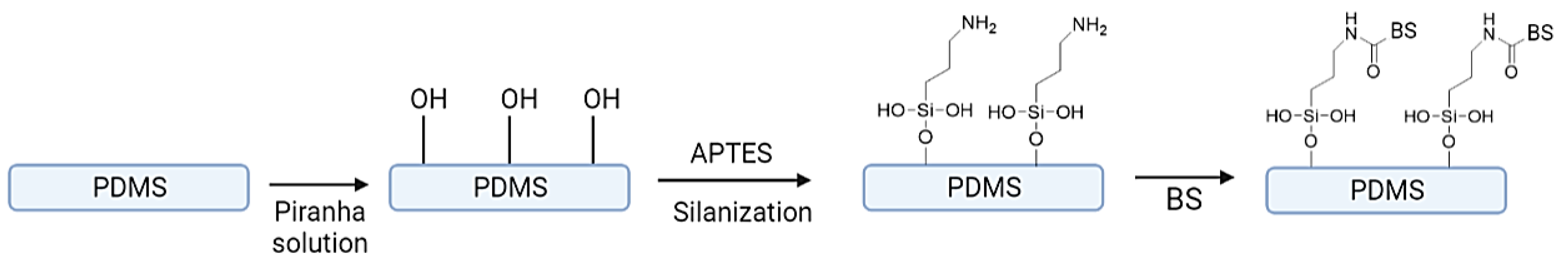 Pharmaceuticals 17 01239 g006 Pharmaceuticals 17 01239 g006