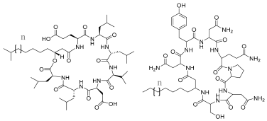 Pharmaceuticals 17 01239 i005 Pharmaceuticals 17 01239 i005