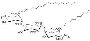 Pharmaceuticals 17 01239 i007 Pharmaceuticals 17 01239 i007