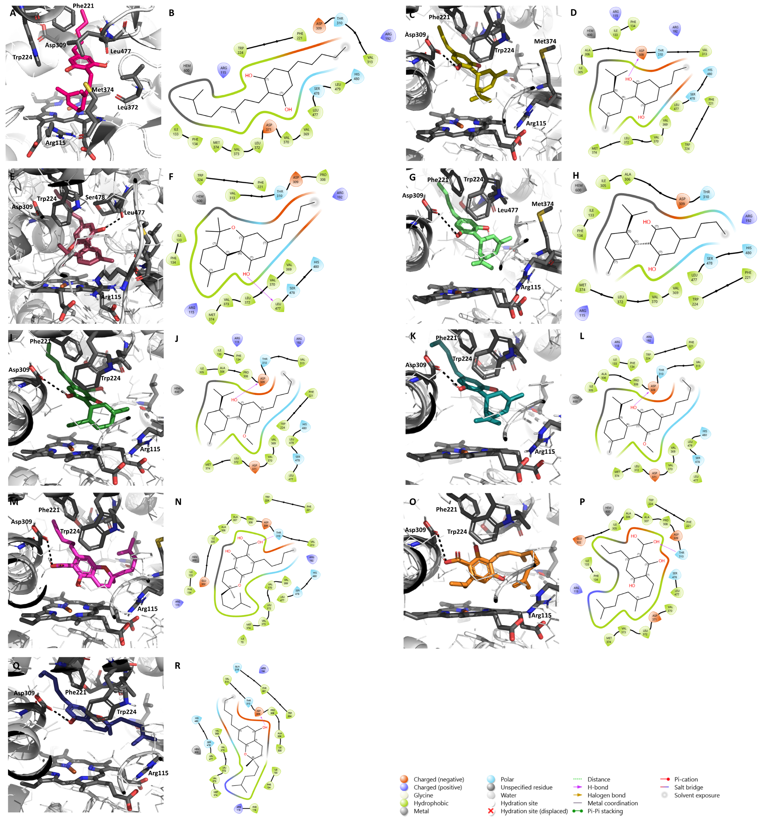 Pharmaceuticals 17 01245 g003