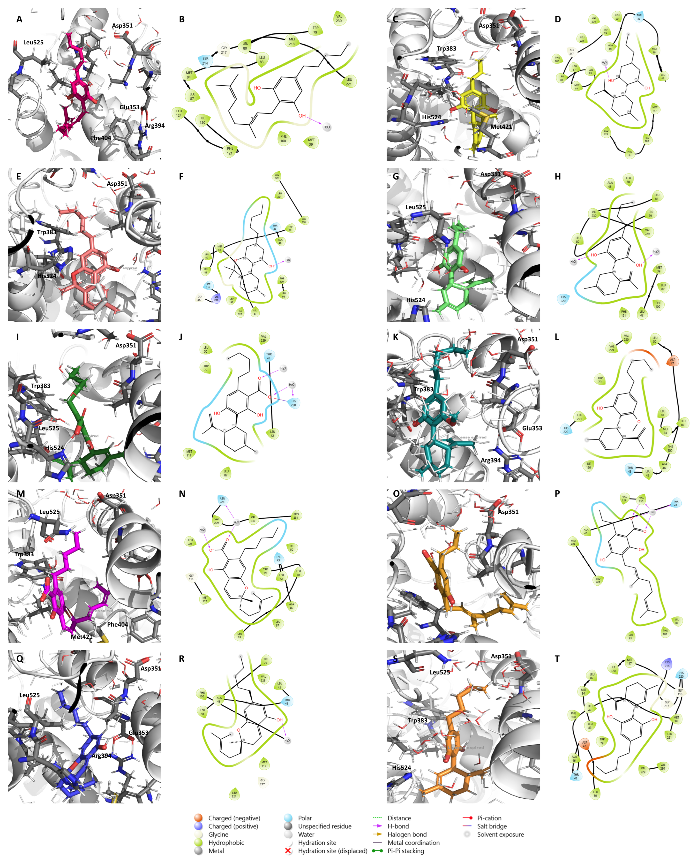Pharmaceuticals 17 01245 g005