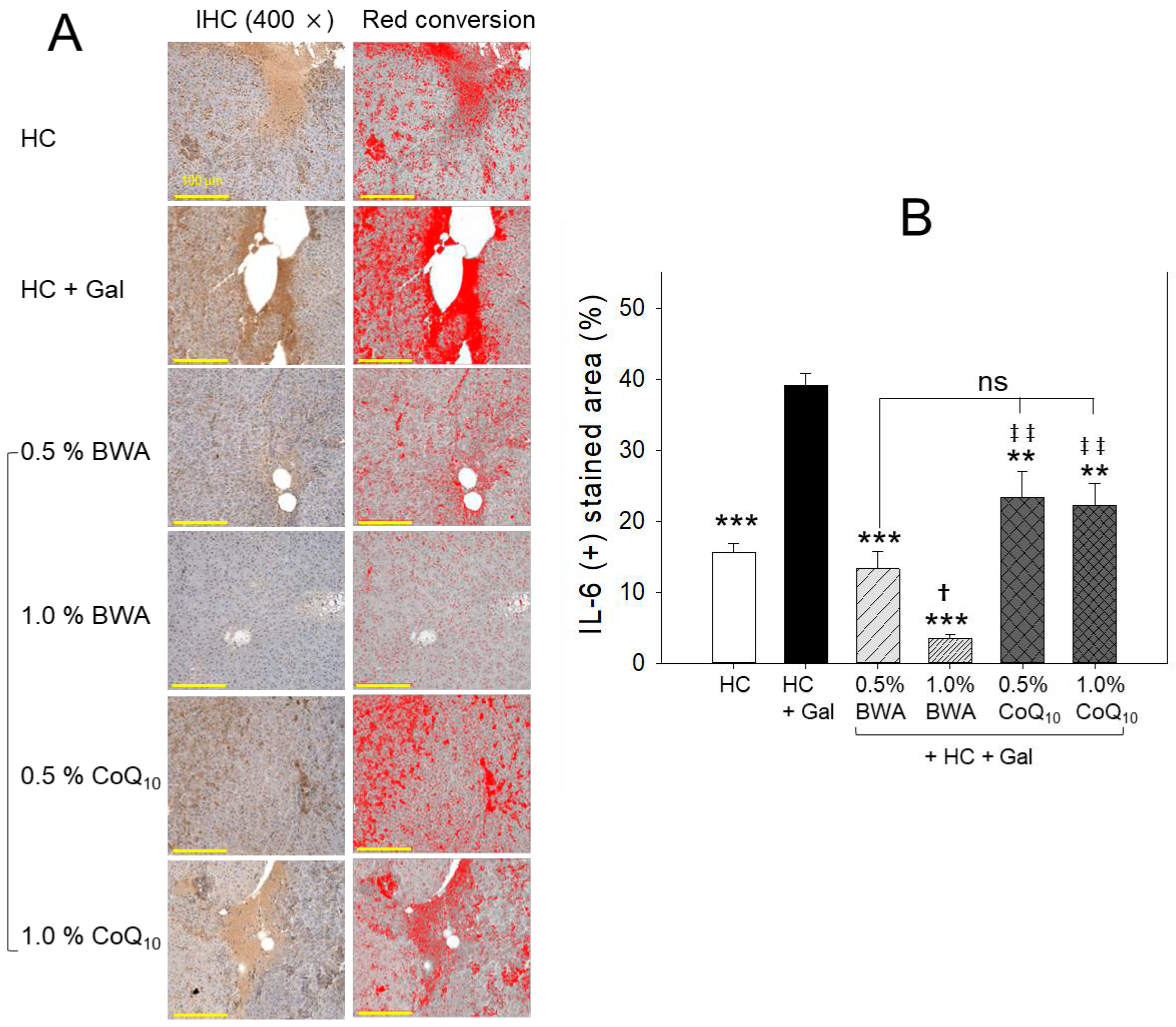 Pharmaceuticals 17 01250 g005
