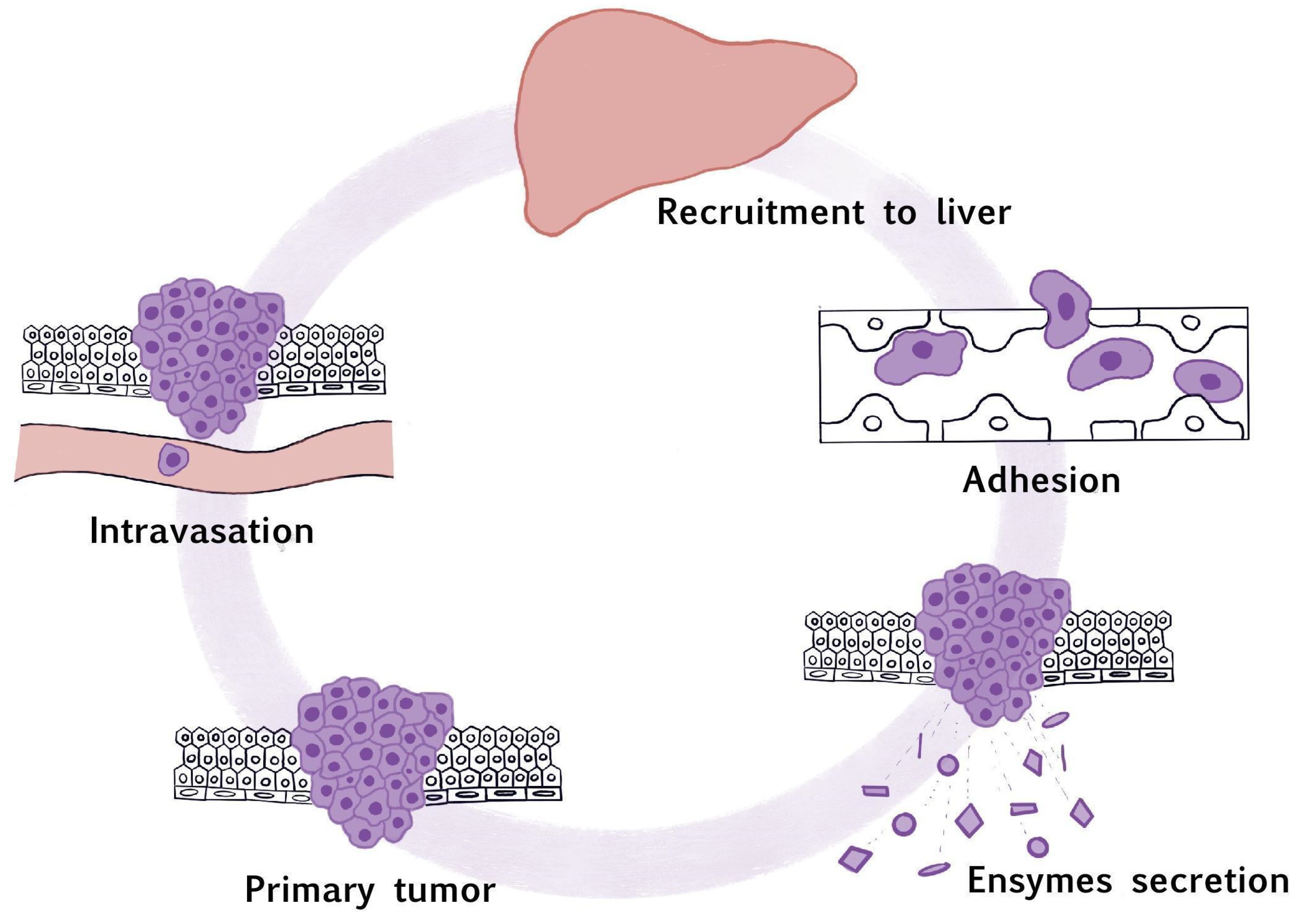 Pharmaceuticals 17 01251 g002 Pharmaceuticals 17 01251 g002