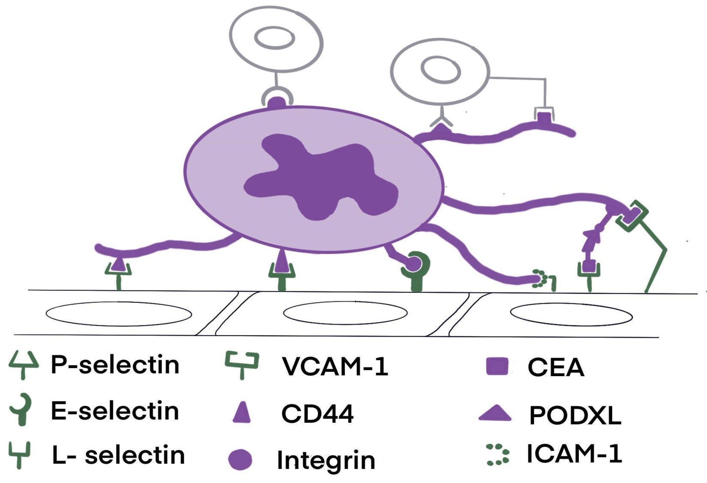 Pharmaceuticals 17 01251 g003 Pharmaceuticals 17 01251 g003