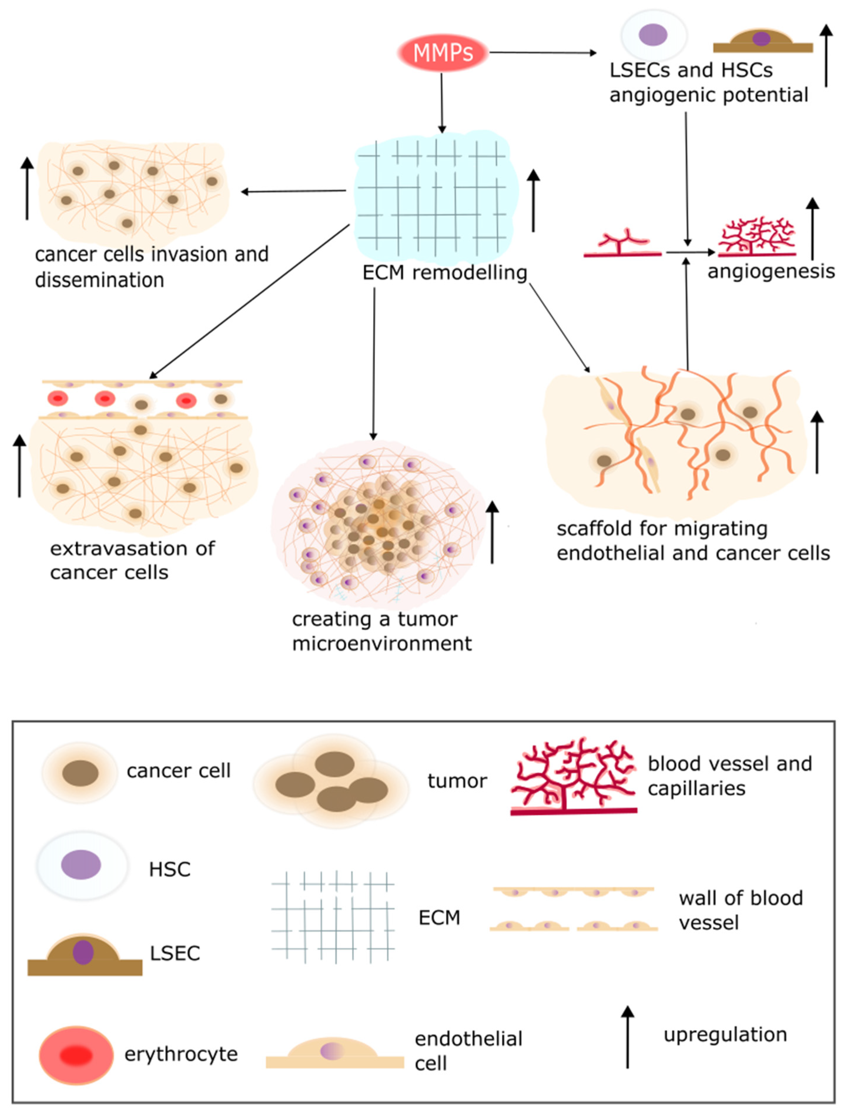Pharmaceuticals 17 01251 g004 Pharmaceuticals 17 01251 g004