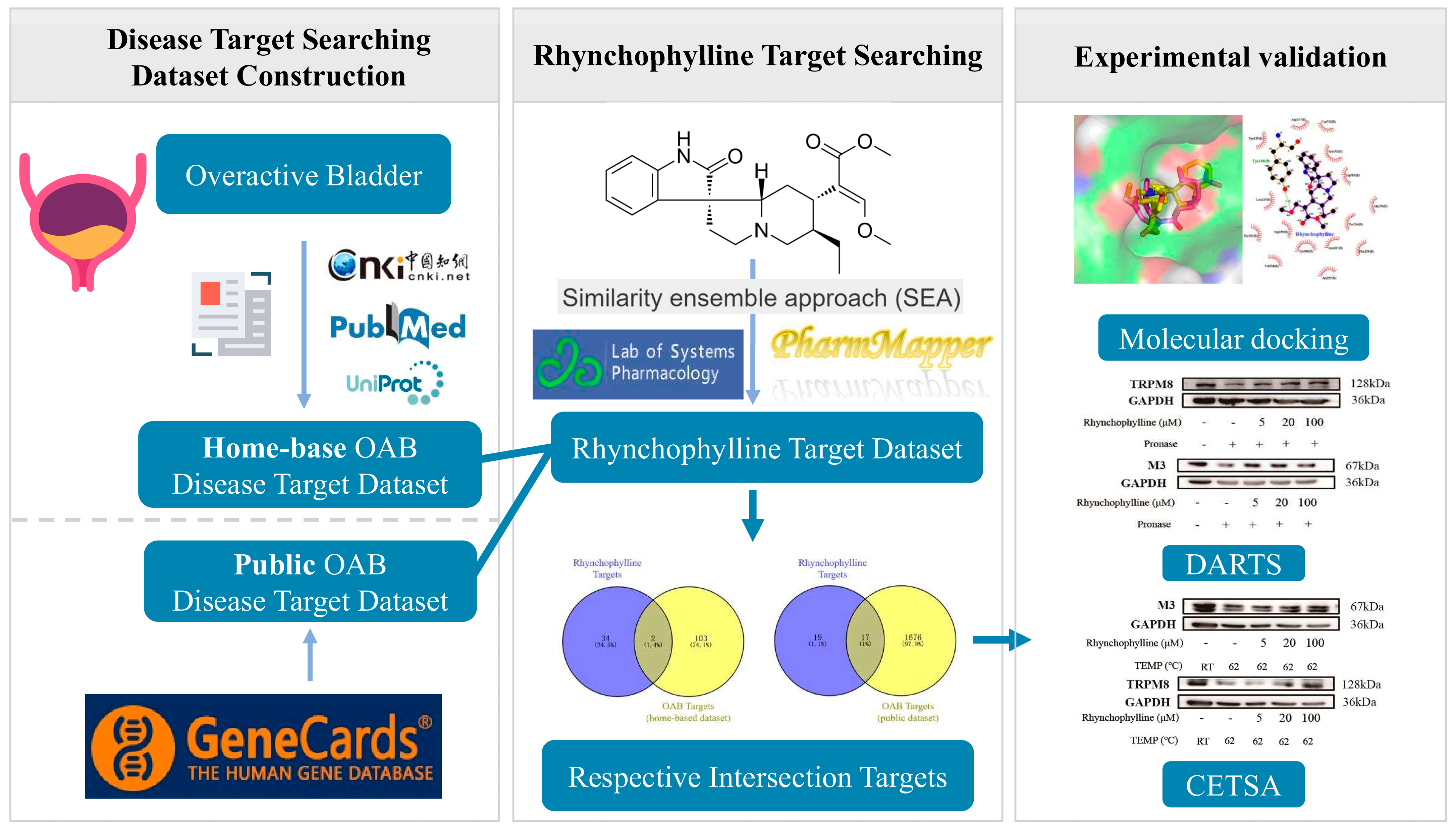 Pharmaceuticals 17 01253 g001 Pharmaceuticals 17 01253 g001