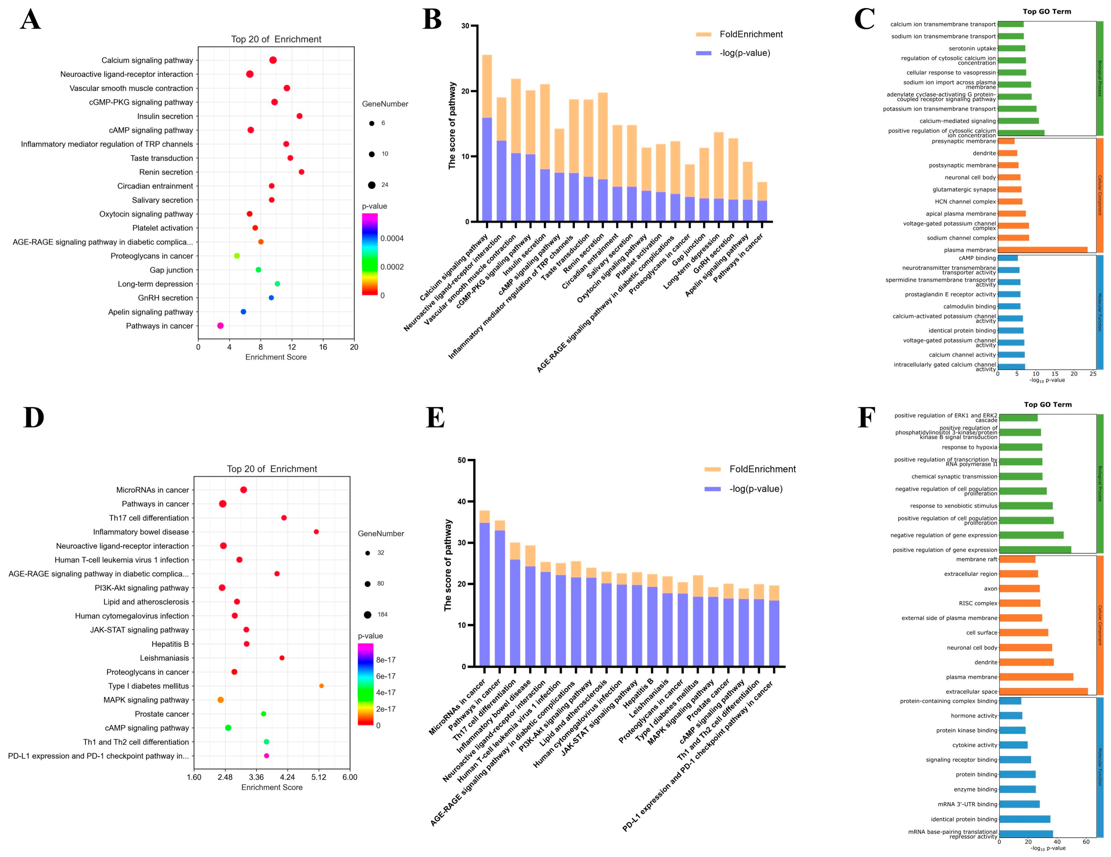 Pharmaceuticals 17 01253 g002 Pharmaceuticals 17 01253 g002