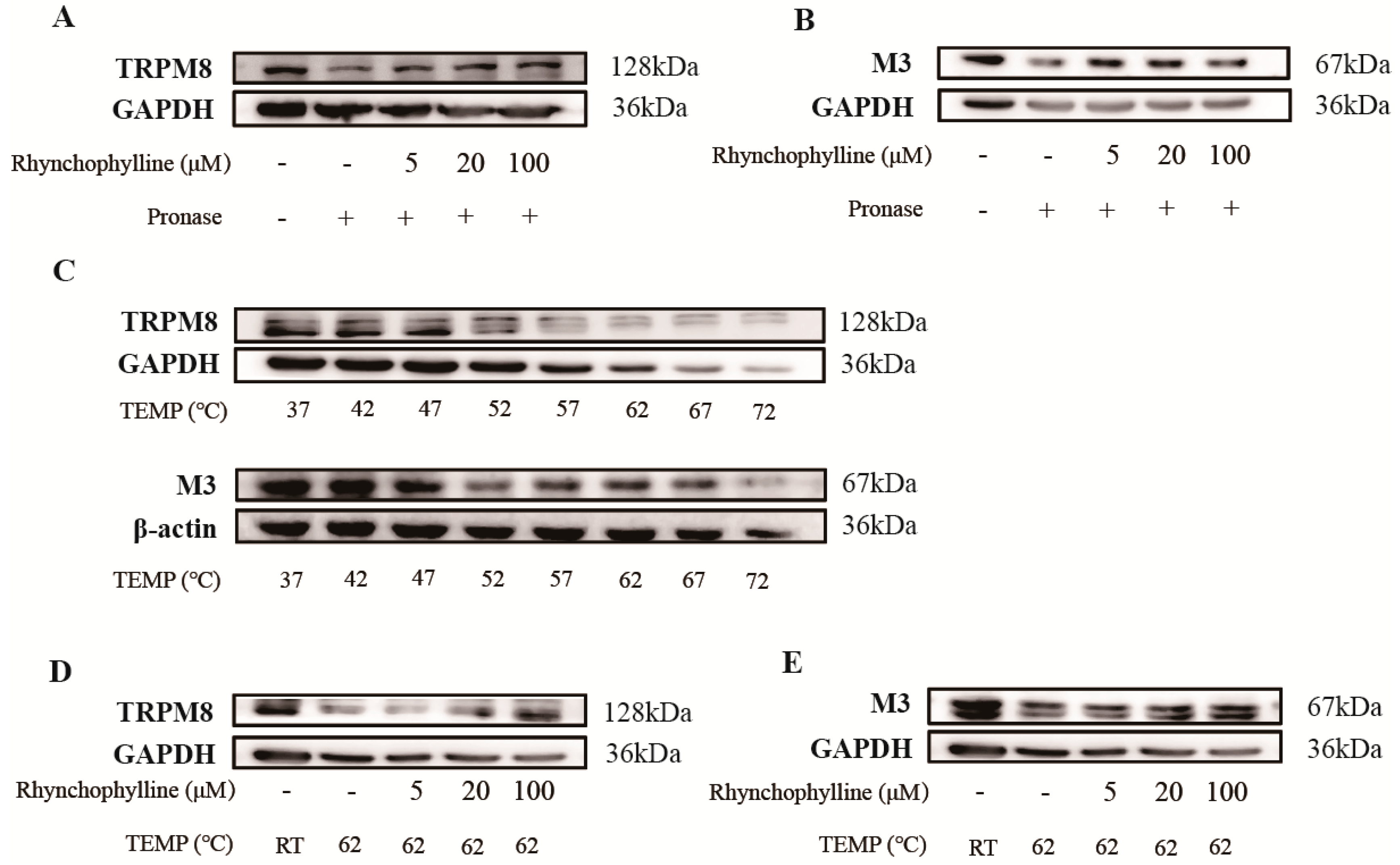 Pharmaceuticals 17 01253 g005 Pharmaceuticals 17 01253 g005