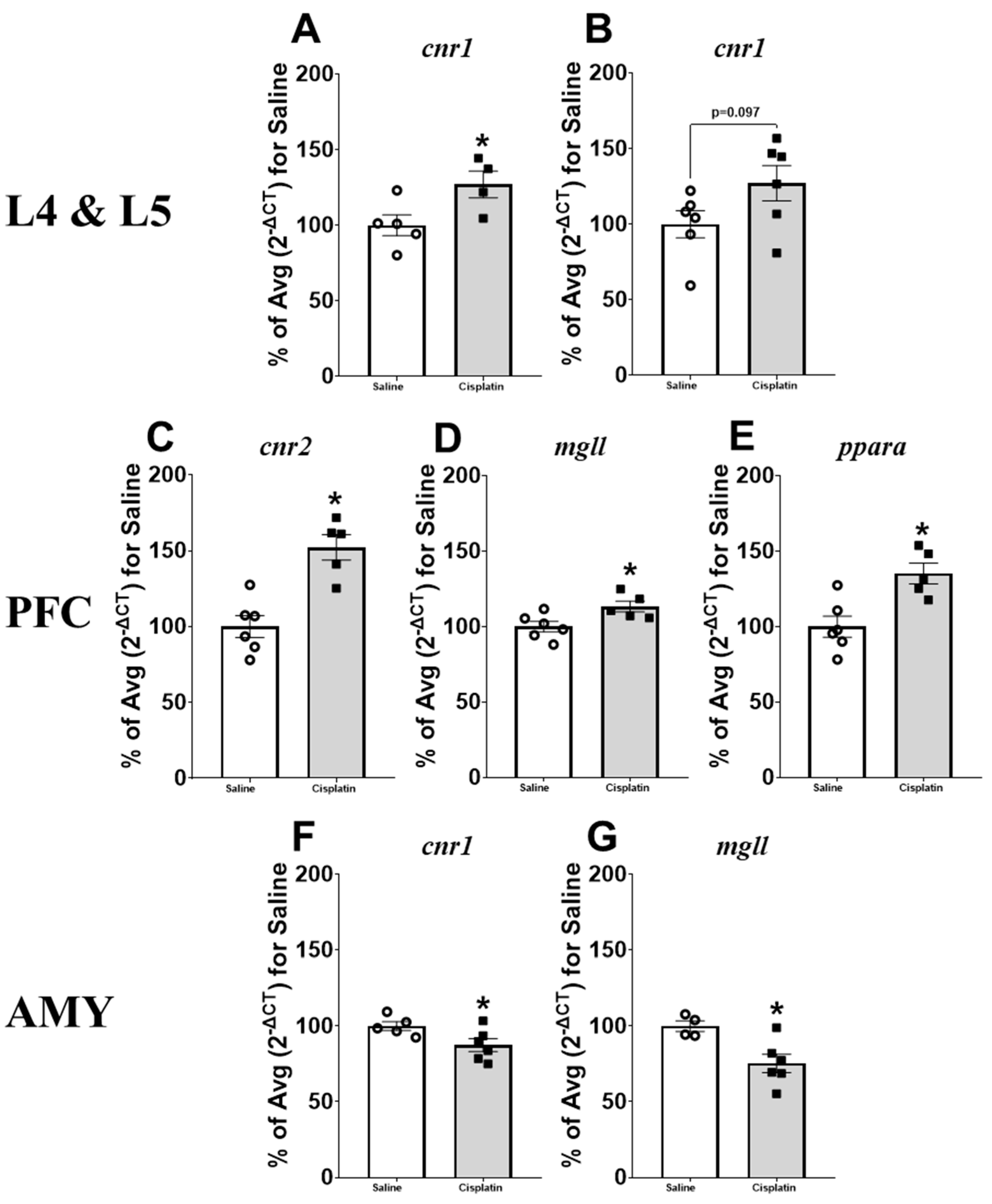 Pharmaceuticals 17 01256 g005
