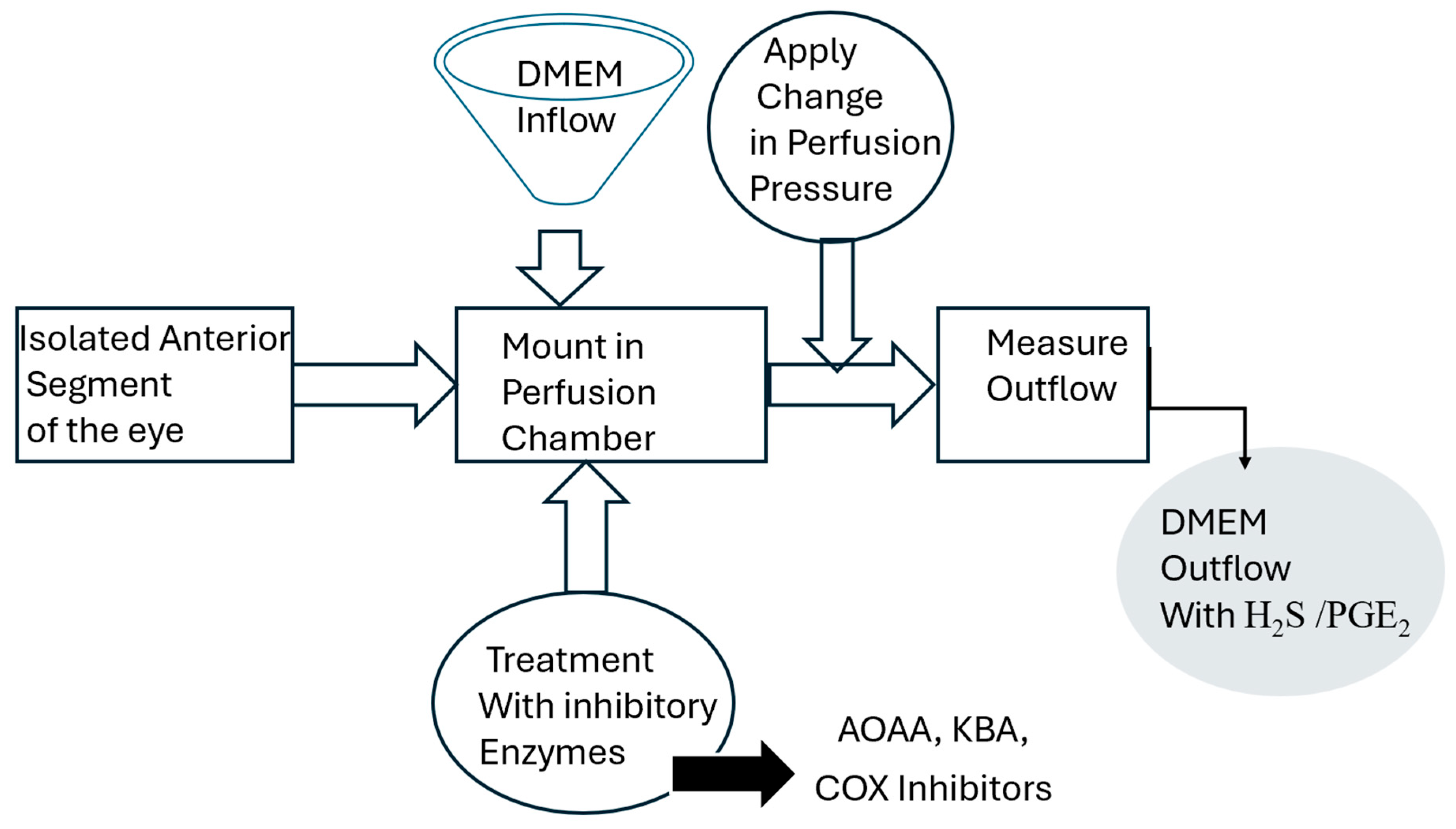 Pharmaceuticals 17 01262 g005