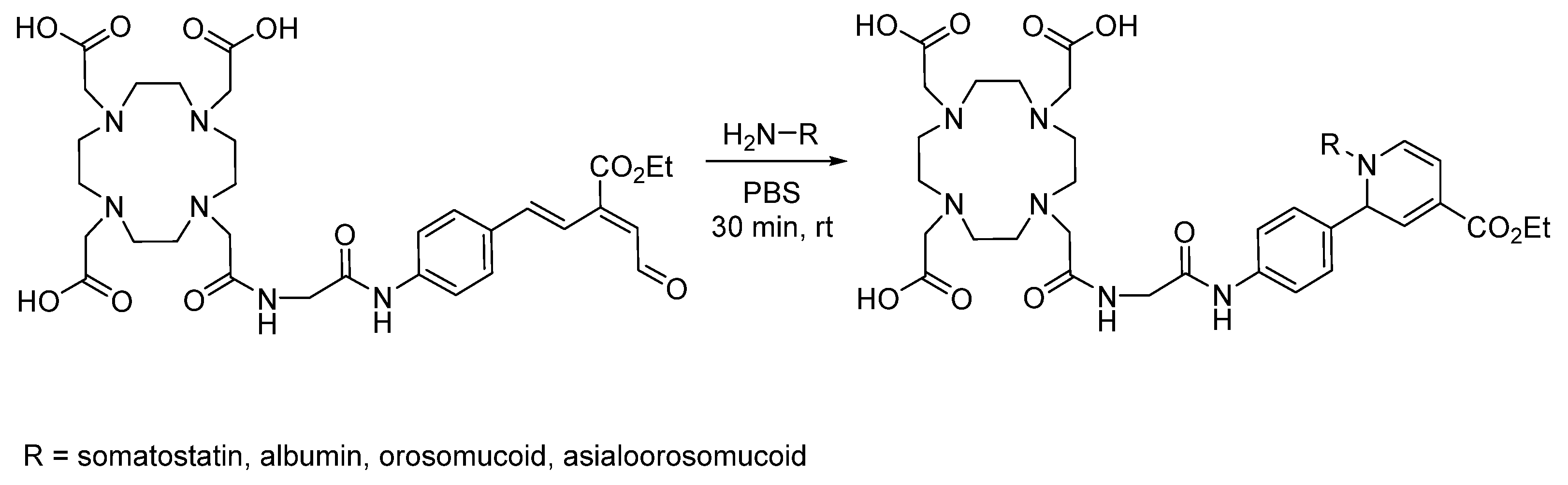 Pharmaceuticals 17 01270 g019