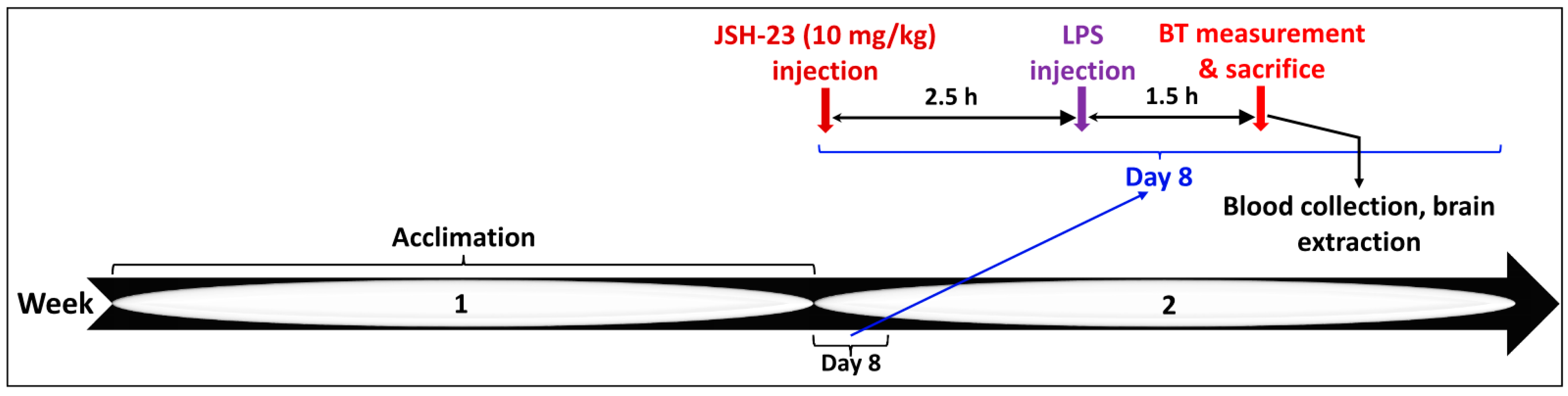 Pharmaceuticals 17 01271 g011