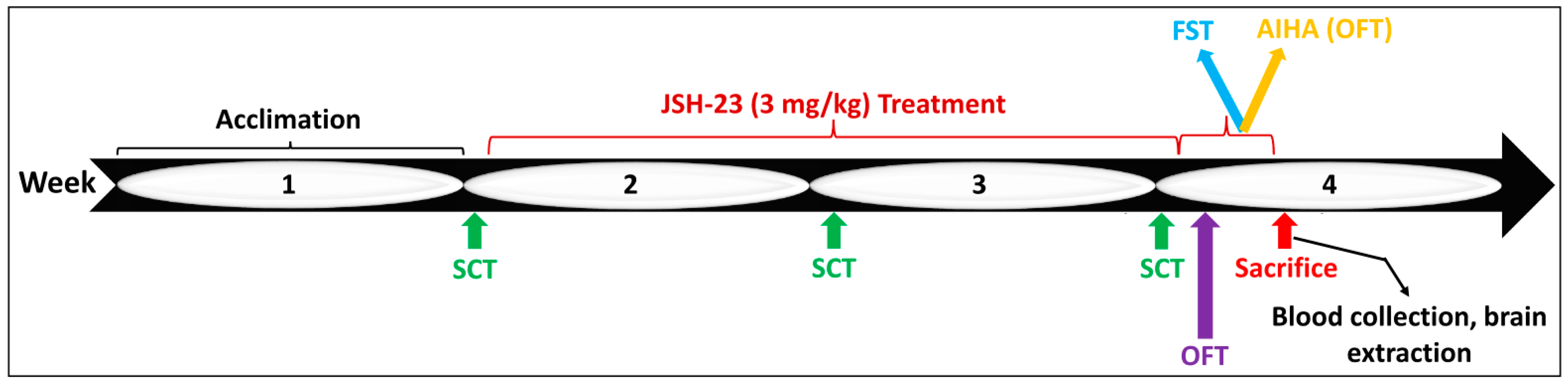 Pharmaceuticals 17 01271 g012
