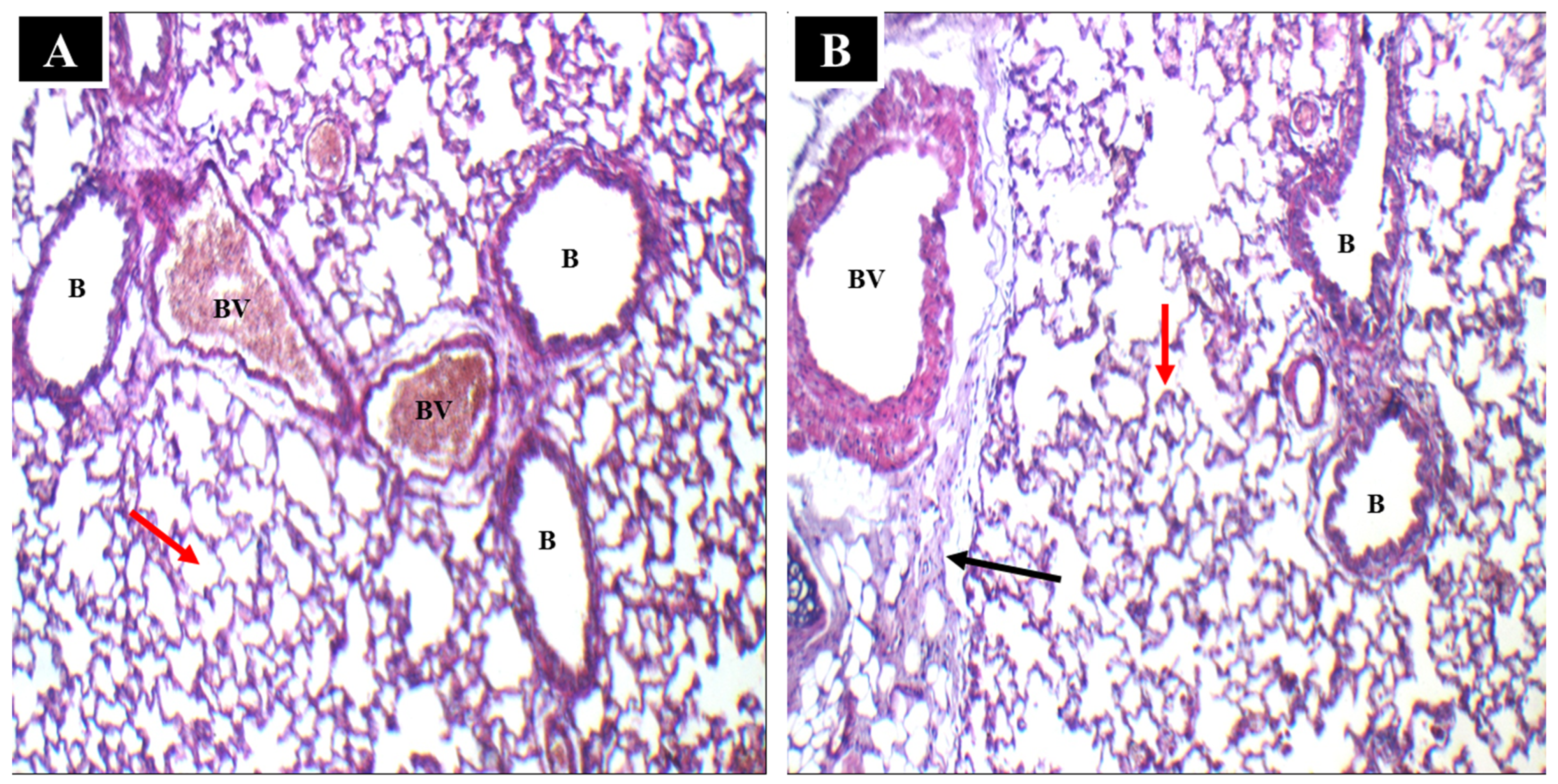 Pharmaceuticals 17 01275 g010