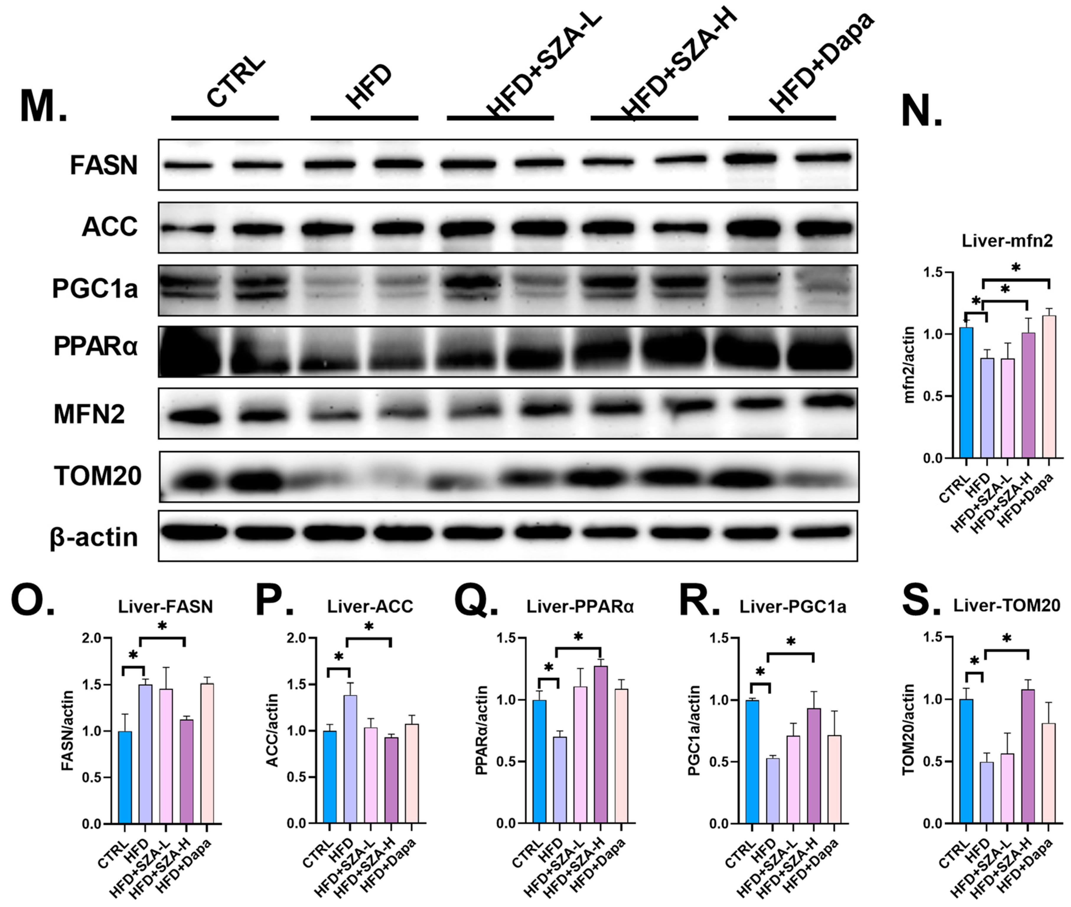 Pharmaceuticals 17 01287 g003b
