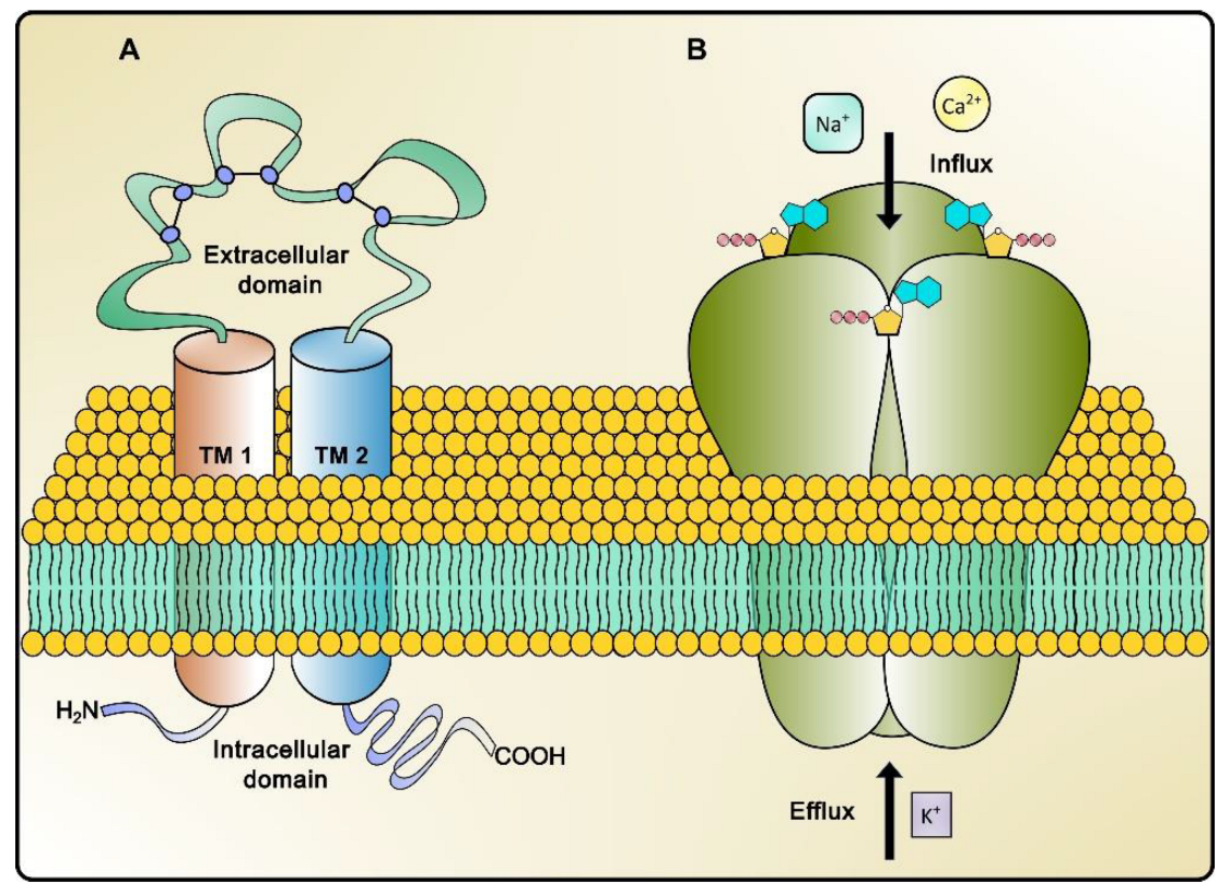 Pharmaceuticals 17 01291 g001