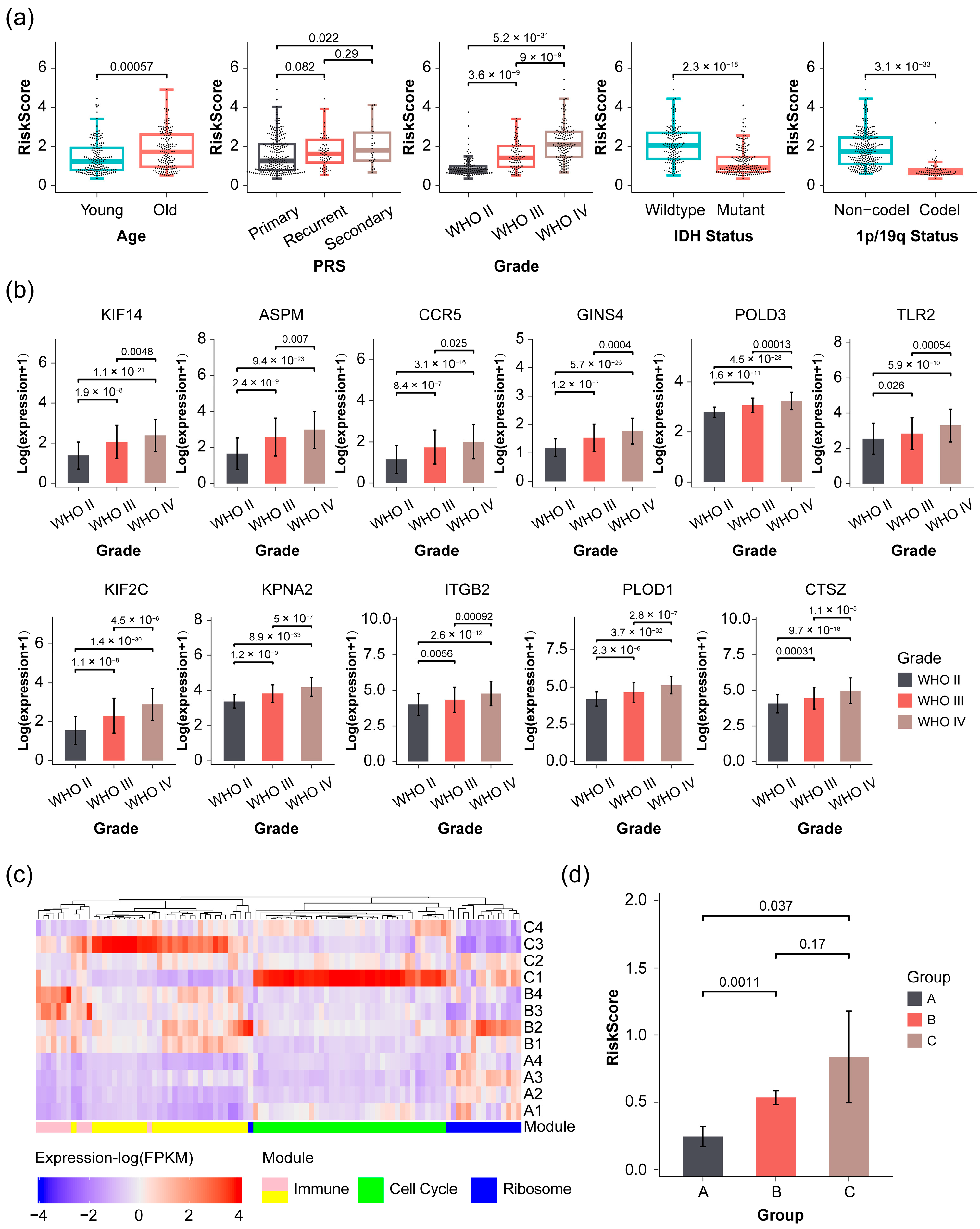 Pharmaceuticals 17 01295 g005