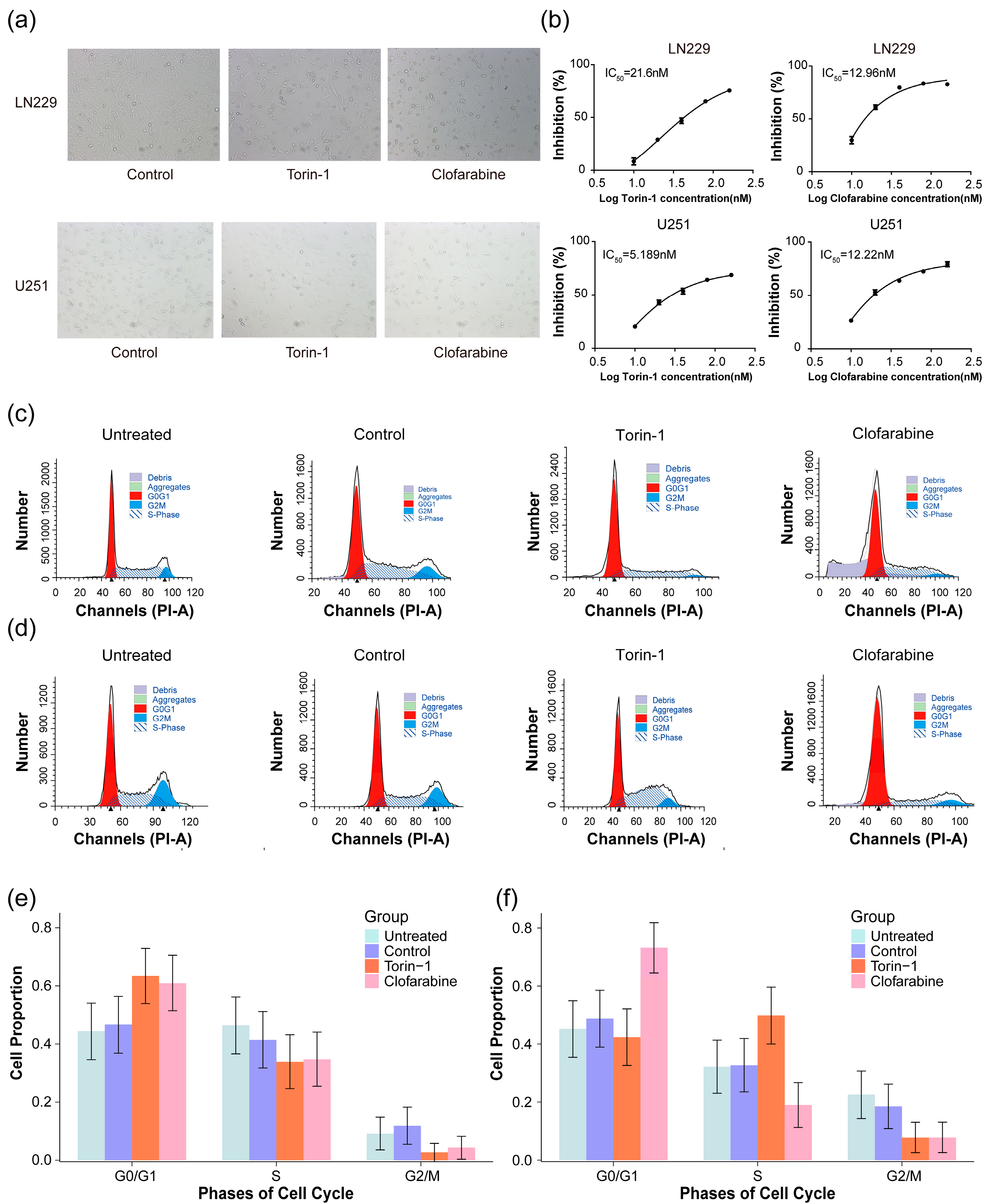 Pharmaceuticals 17 01295 g008