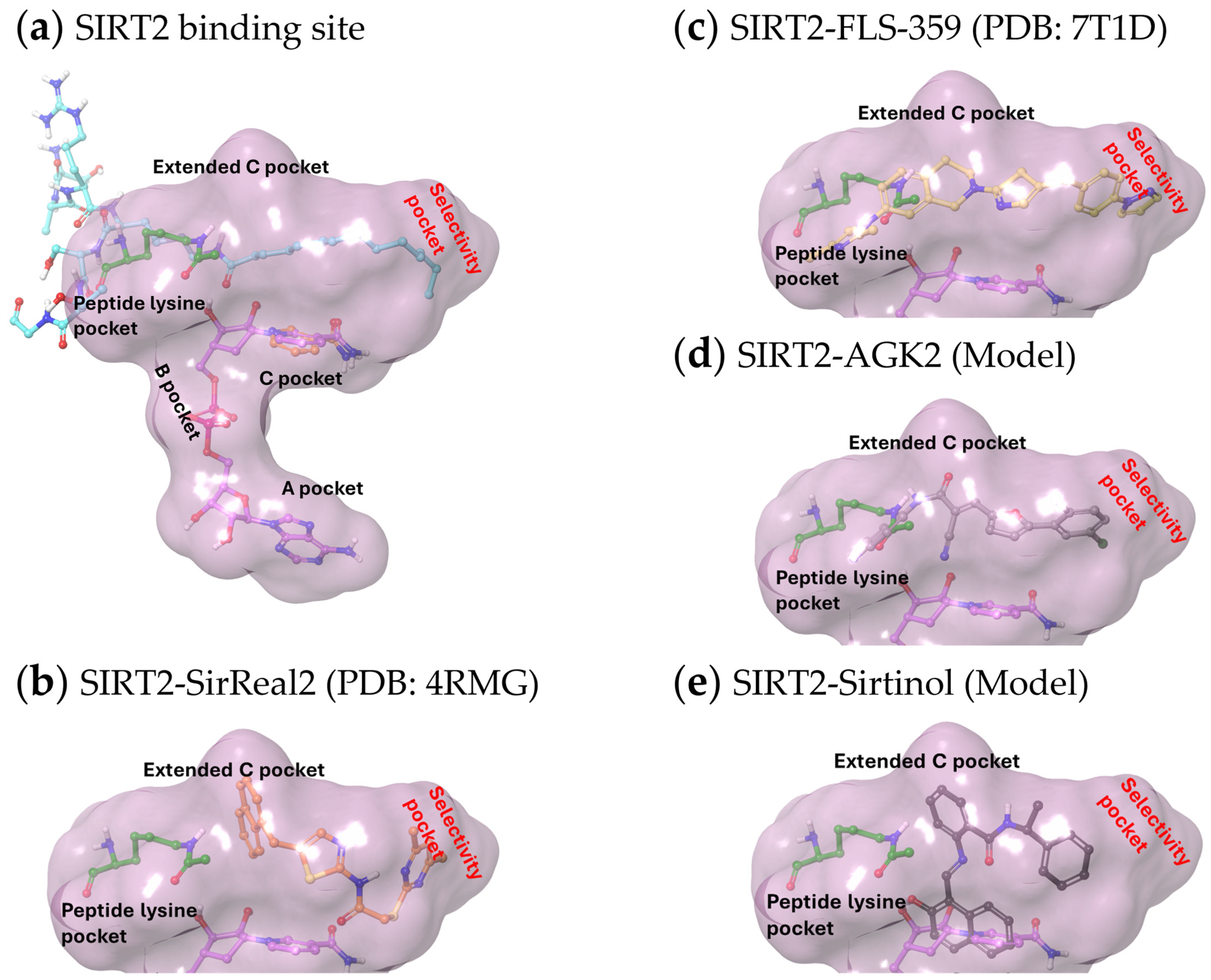 Pharmaceuticals 17 01298 g002 Pharmaceuticals 17 01298 g002