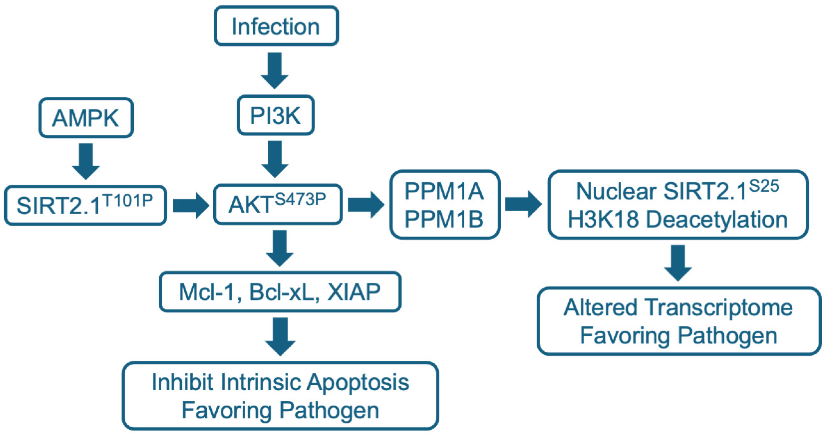 Pharmaceuticals 17 01298 g003 Pharmaceuticals 17 01298 g003