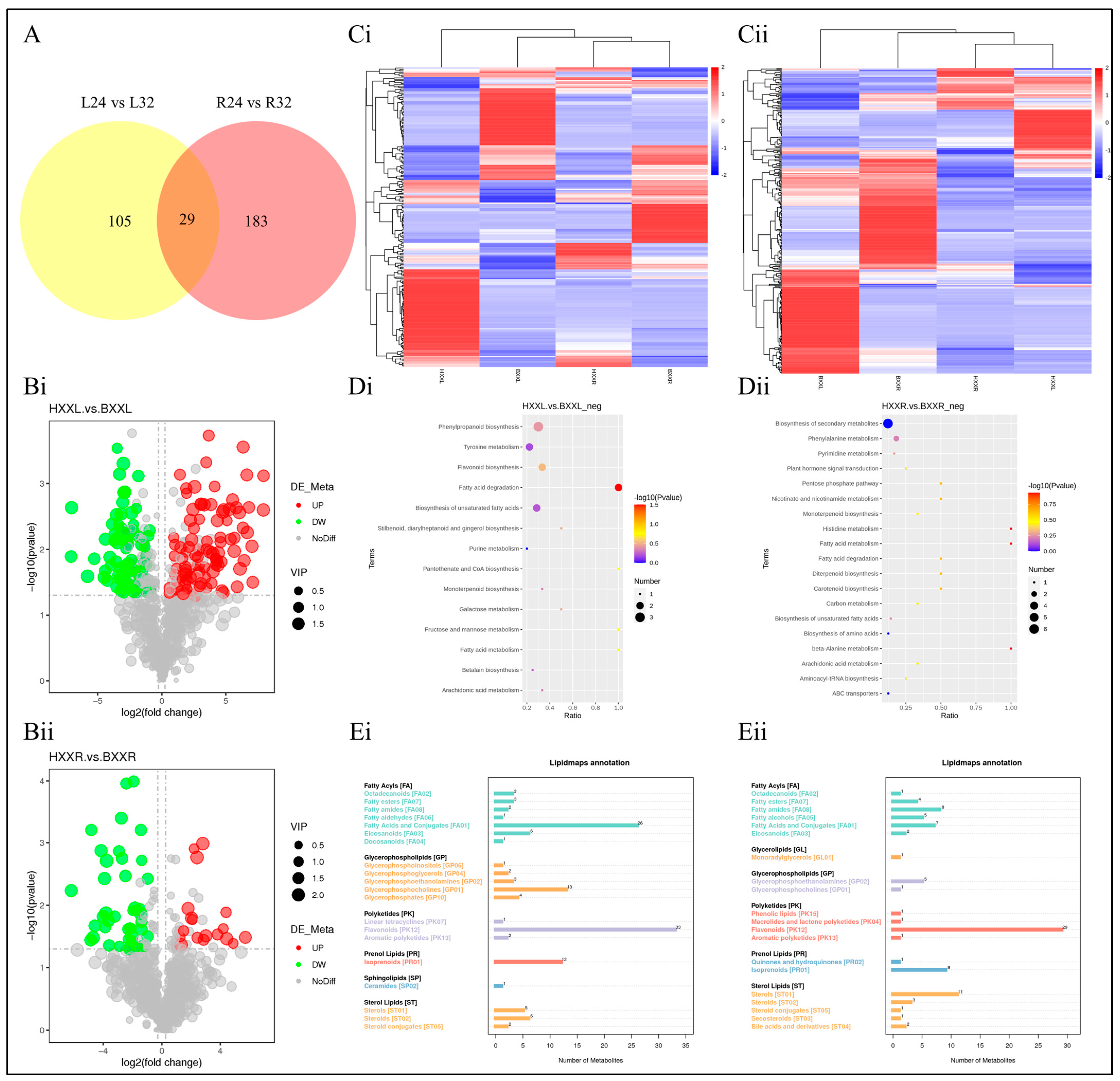Pharmaceuticals 17 01301 g003