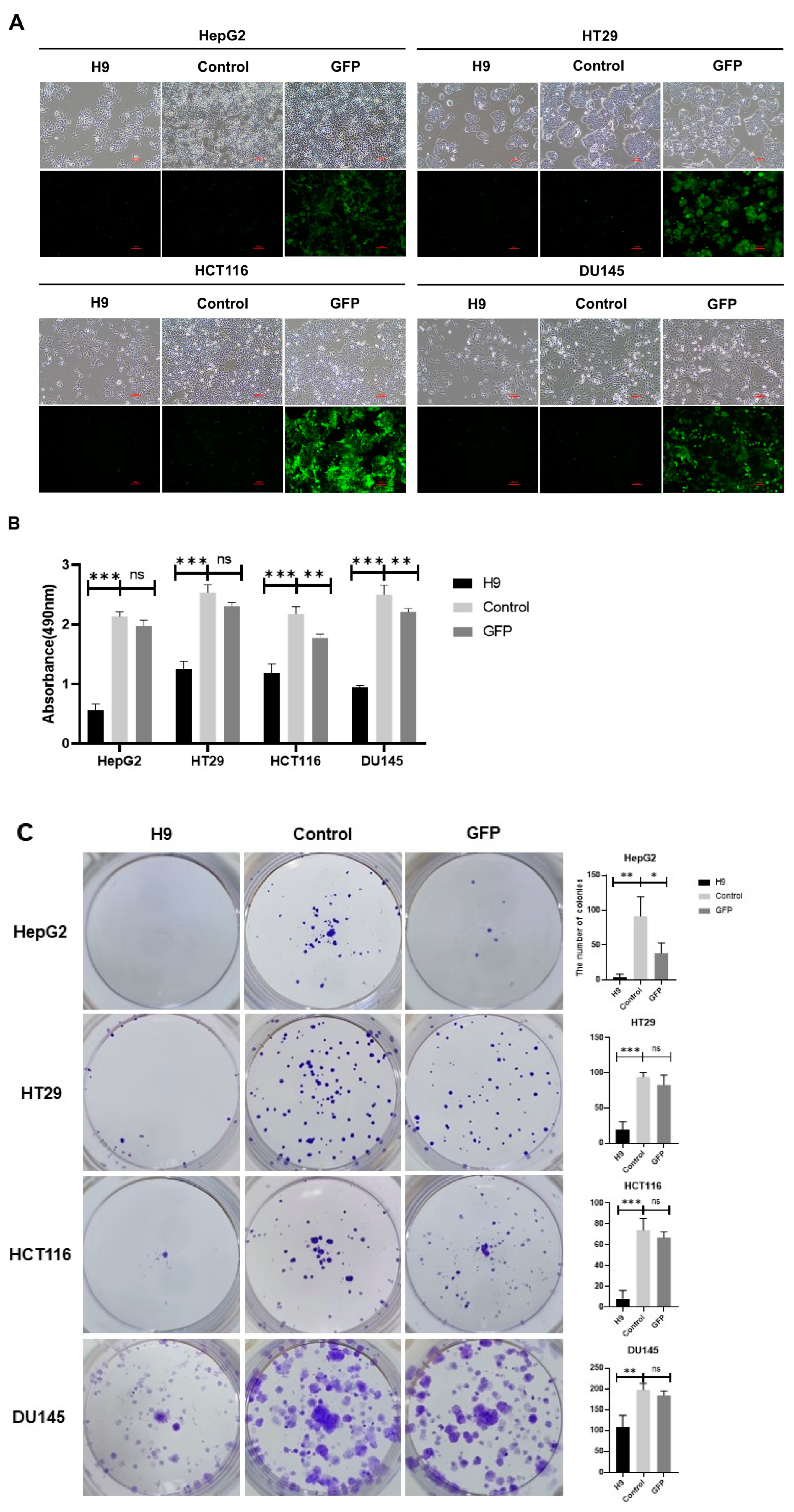 Pharmaceuticals 17 01303 g002a